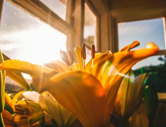 Weekly Forecast: 7–13 June