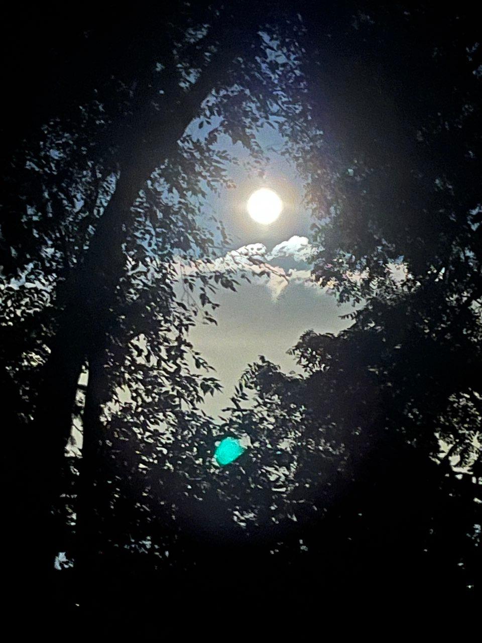 The Moon over Toronto, Canada — full moon, Lunar Day 16