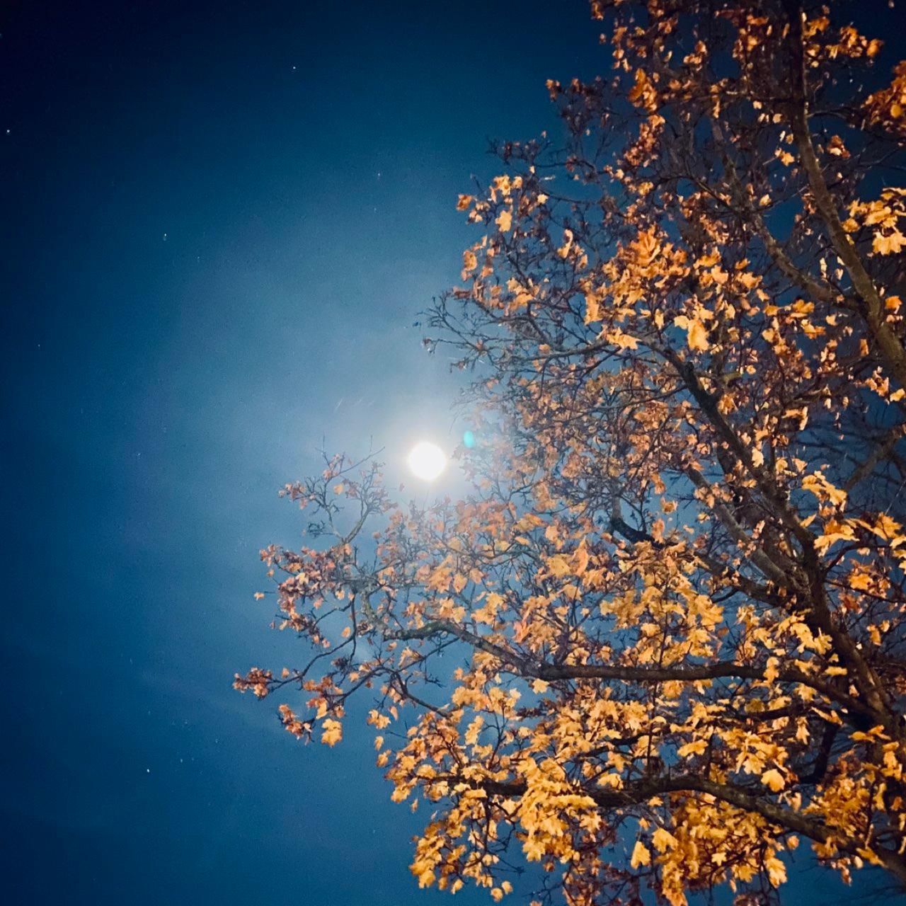 The Moon over Berlin, Deutschland — full moon, Lunar Day 16