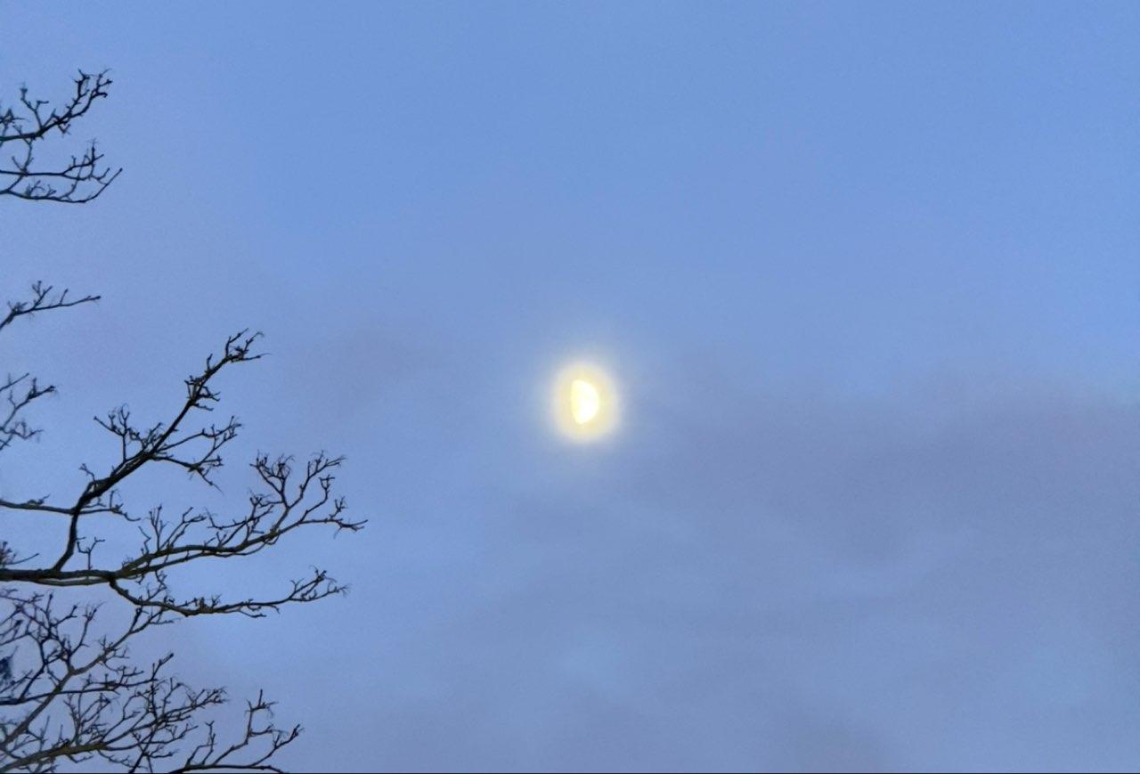 The Moon over Dagenham, United Kingdom — first quarter, Lunar Day 11