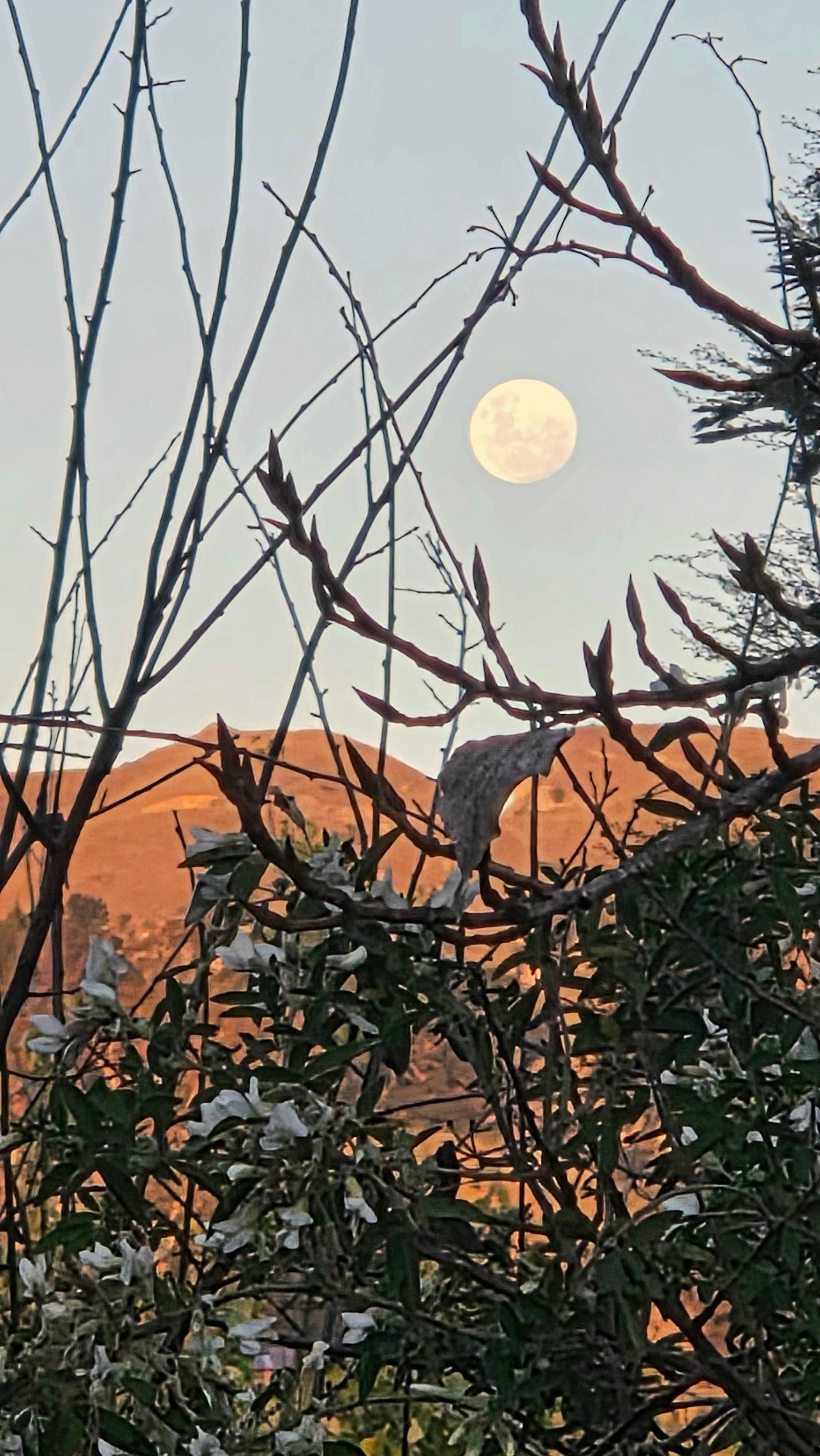 The Moon over Poukawa, New Zealand — full moon, Lunar Day 14