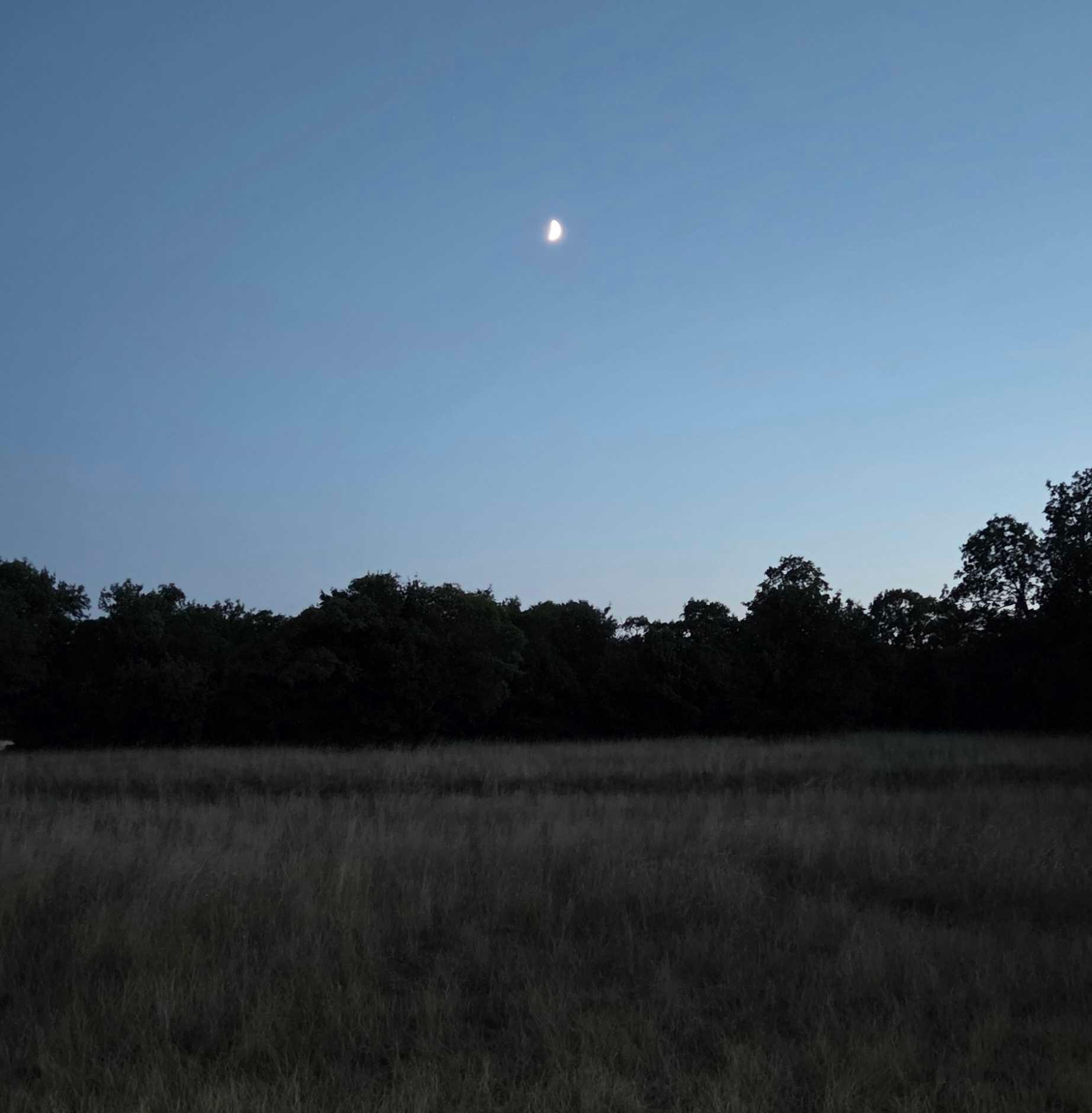 The Moon over Trieste, Italia — first quarter, Lunar Day 7