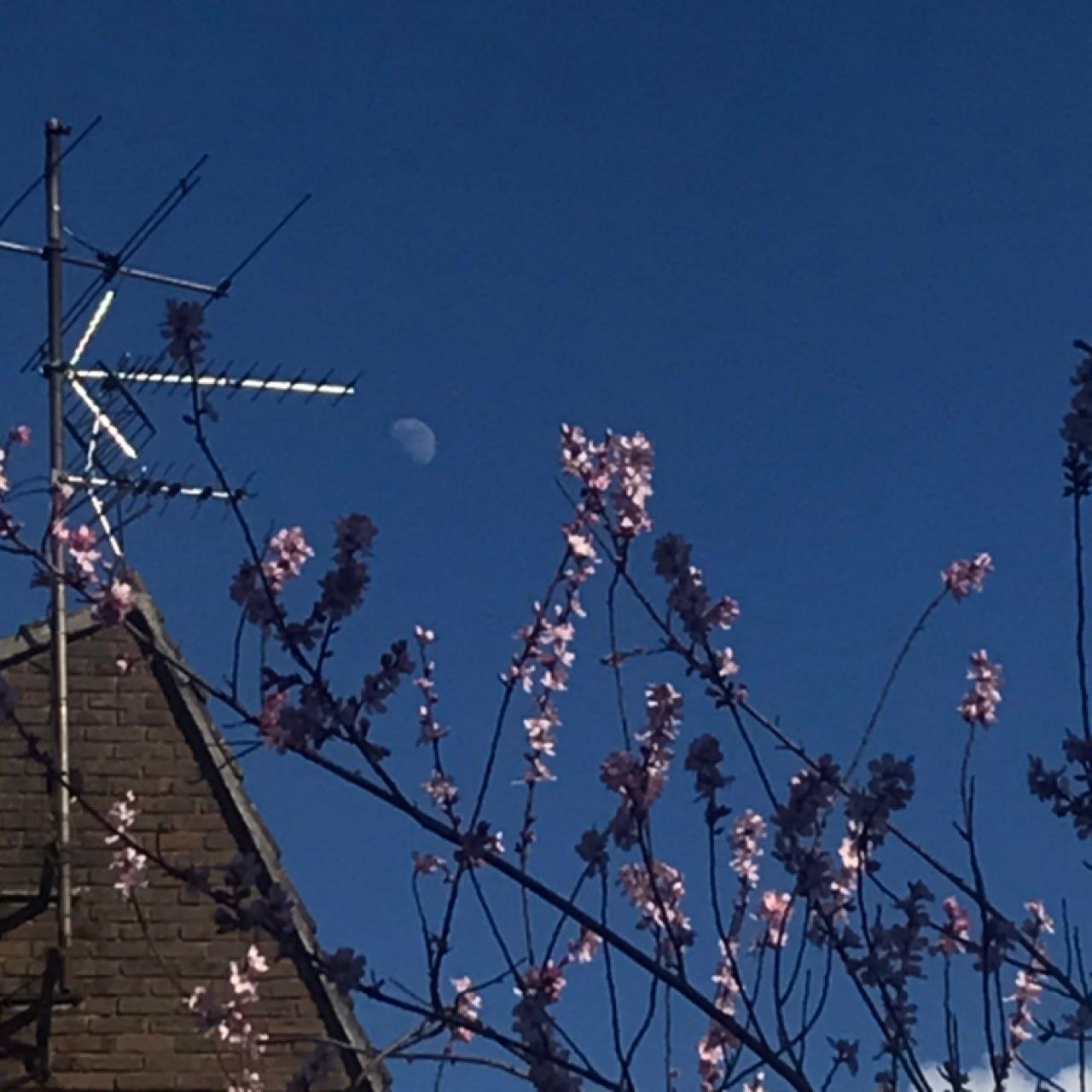 The Moon over Bolivia — new moon, Lunar Day 2