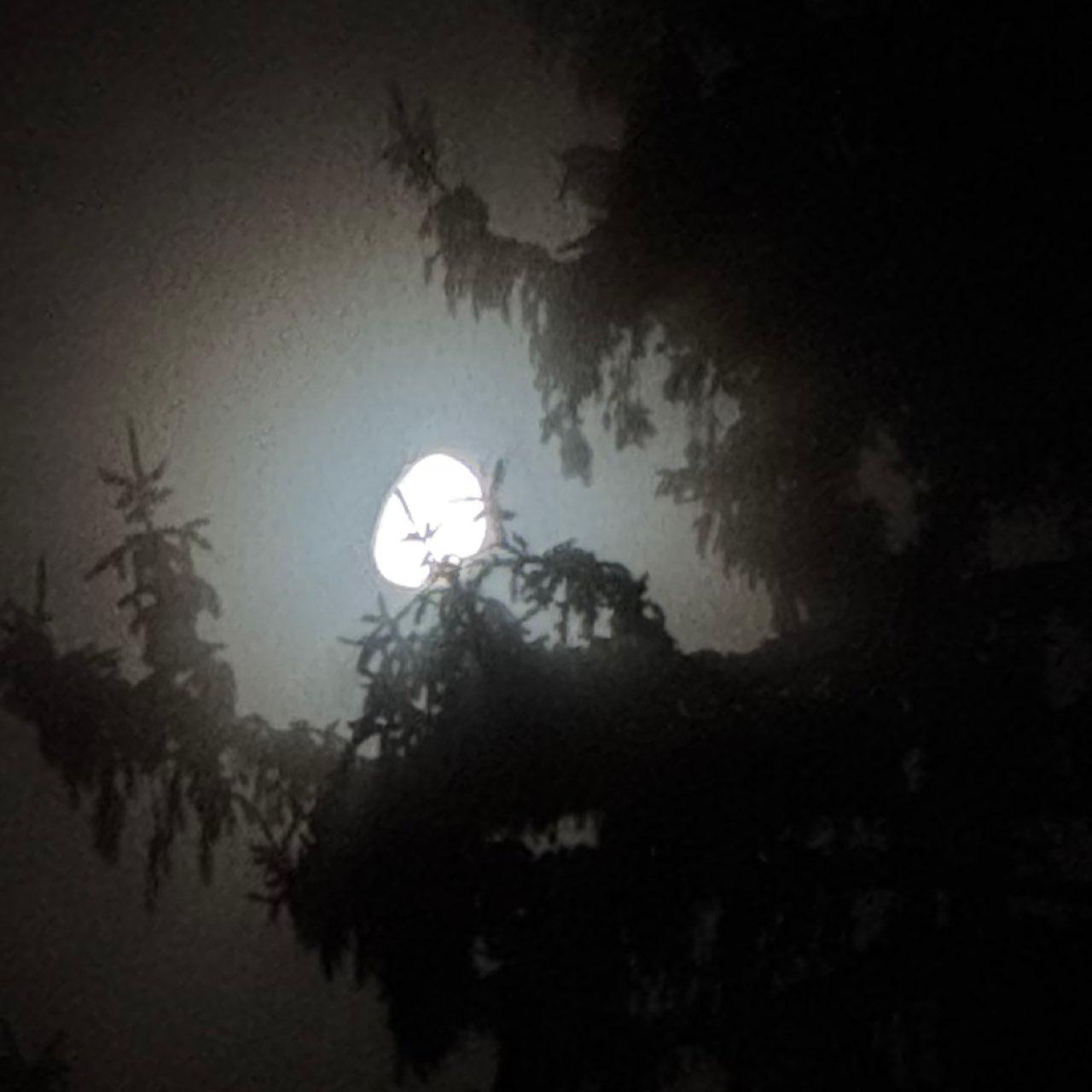 The Moon over Chagrin Falls, United States — waxing gibbous, Lunar Day 11