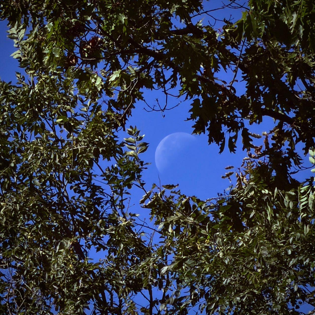 The Moon over Toronto, Canada — last quarter, Lunar Day 23