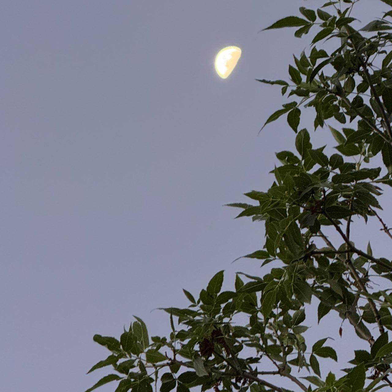 The Moon over Colorado Springs, United States — last quarter, Lunar Day 22