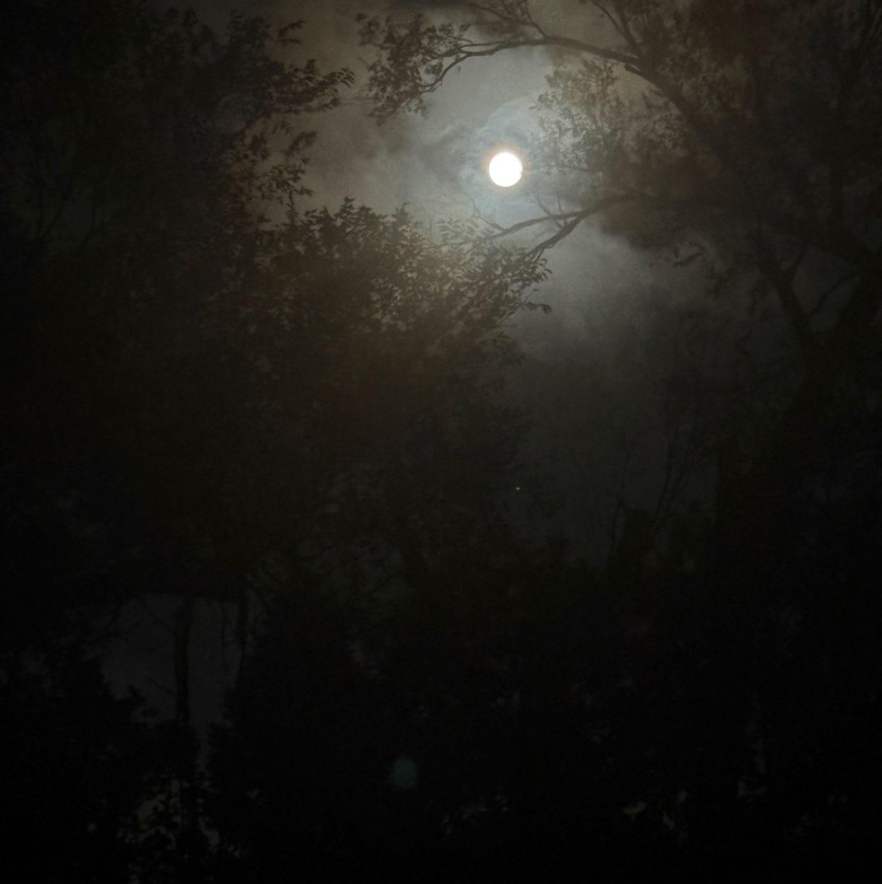 The Moon over Lincoln, United States — full moon, Lunar Day 18