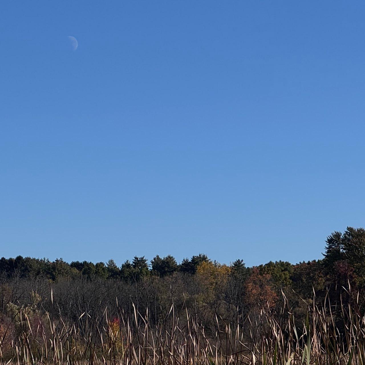 The Moon over Henrietta, United States — first quarter, Lunar Day 8