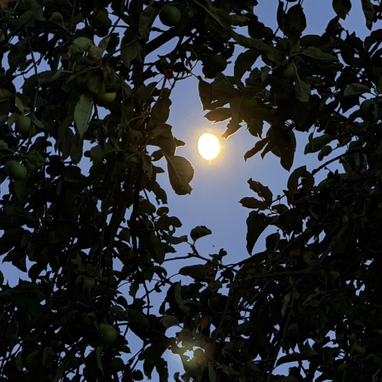 The Moon over Biberach an der Riß, Deutschland — waxing gibbous, Lunar Day 12