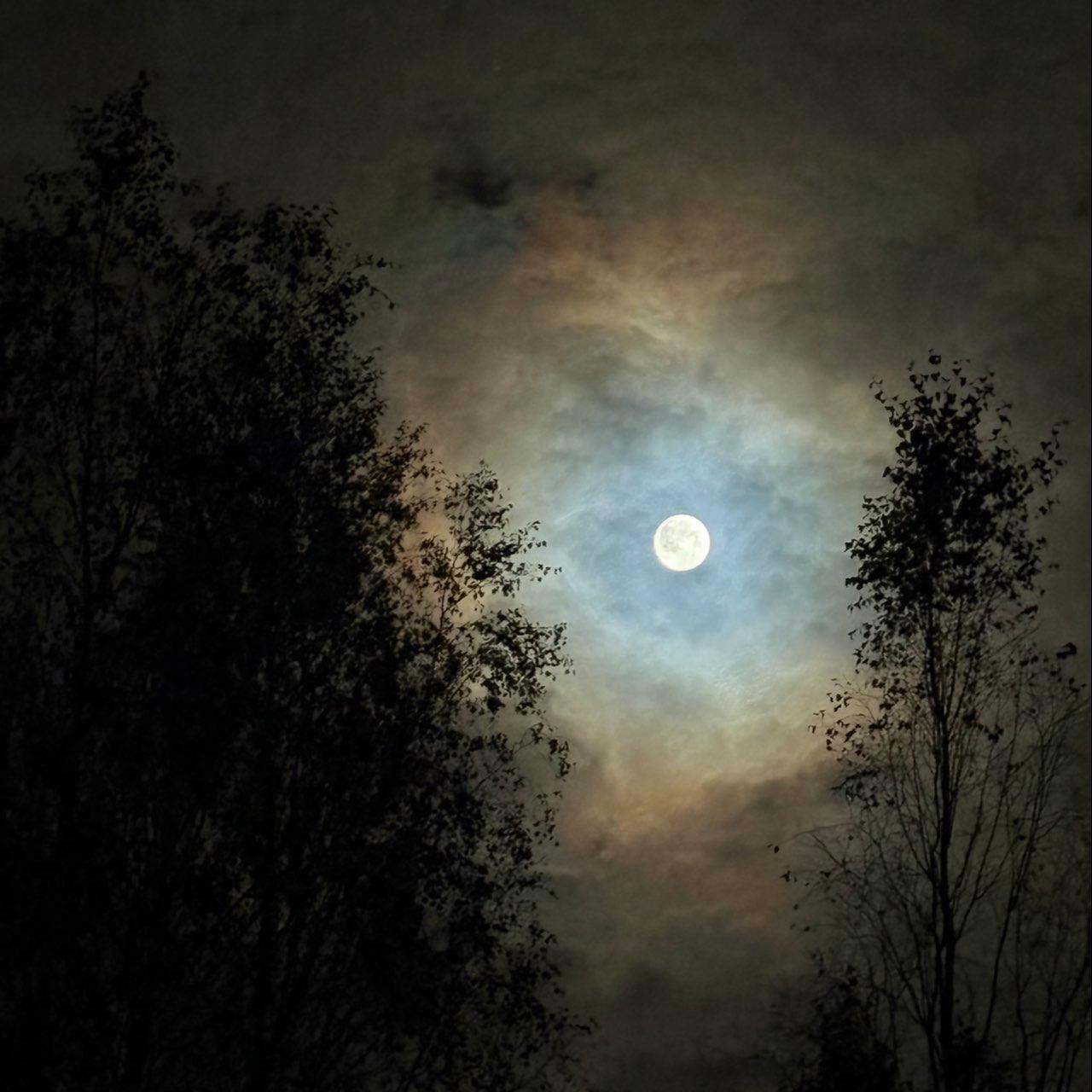 The Moon over Колодищанский, Беларусь — full moon, Lunar Day 16