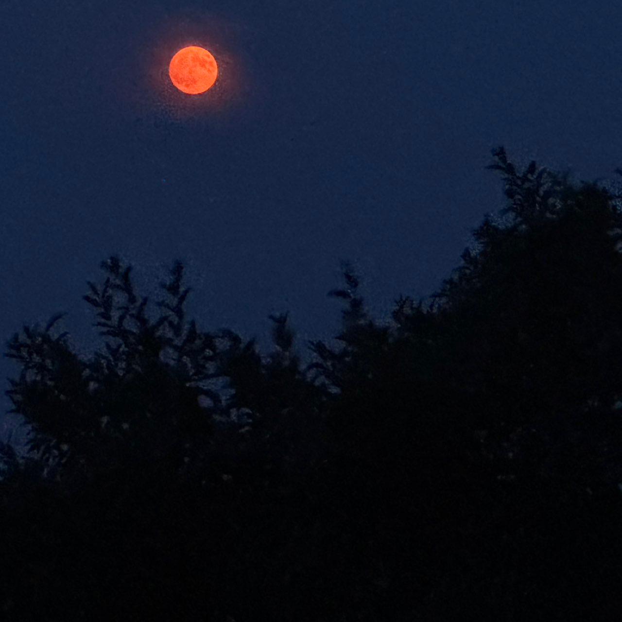 The Moon over Truro, United States — full moon, Lunar Day 15