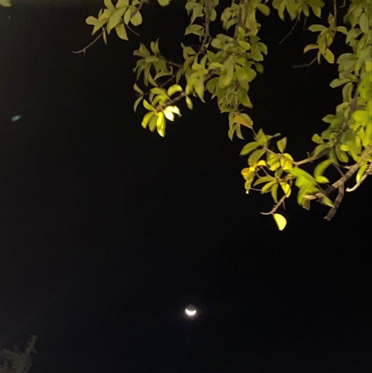 The Moon over Carepa, Colombia — waxing crescent, Lunar Day 5