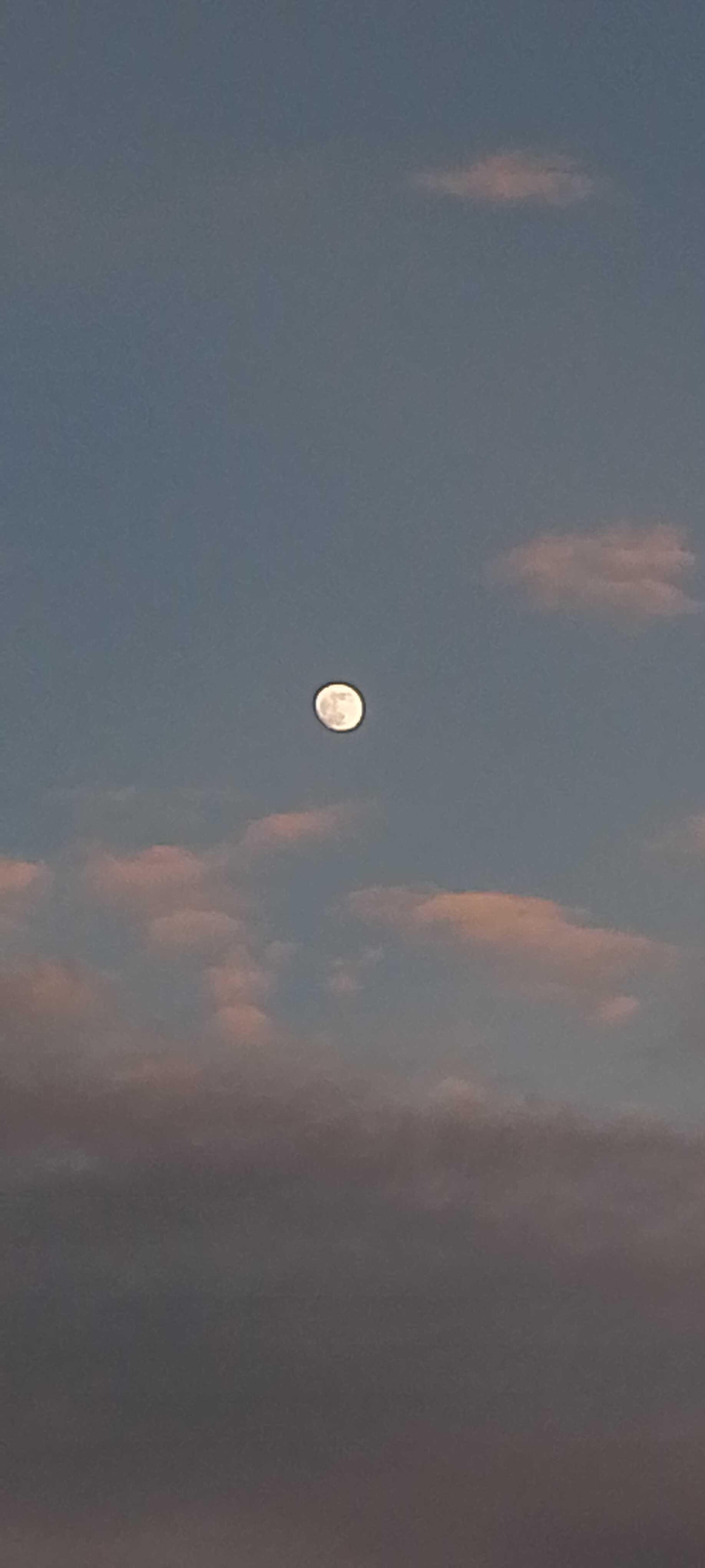 The Moon over Tambon Na Mong, Thailand — waxing gibbous, Lunar Day 14