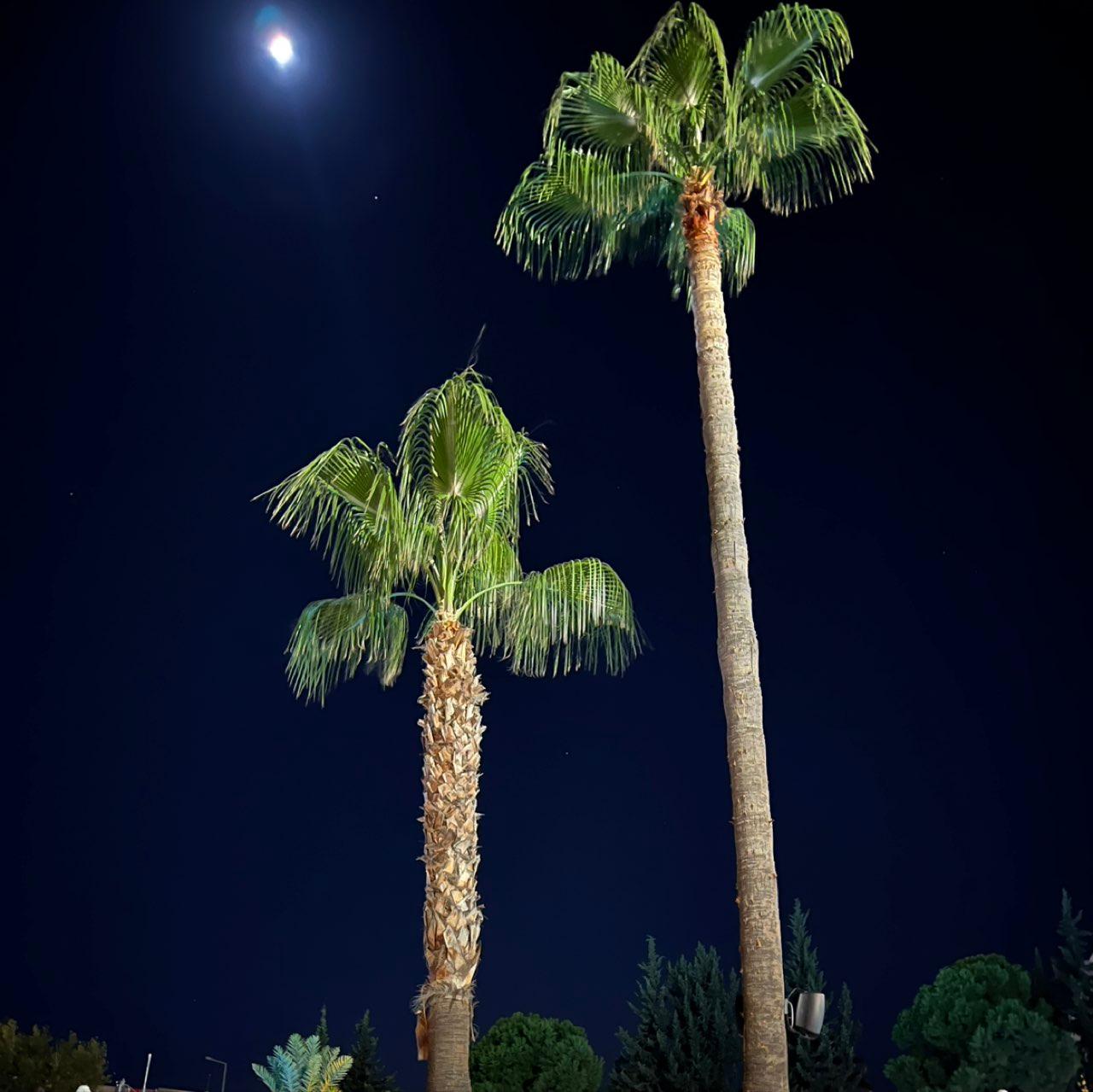 The Moon over Kemer, Türkei — waxing gibbous, Lunar Day 13
