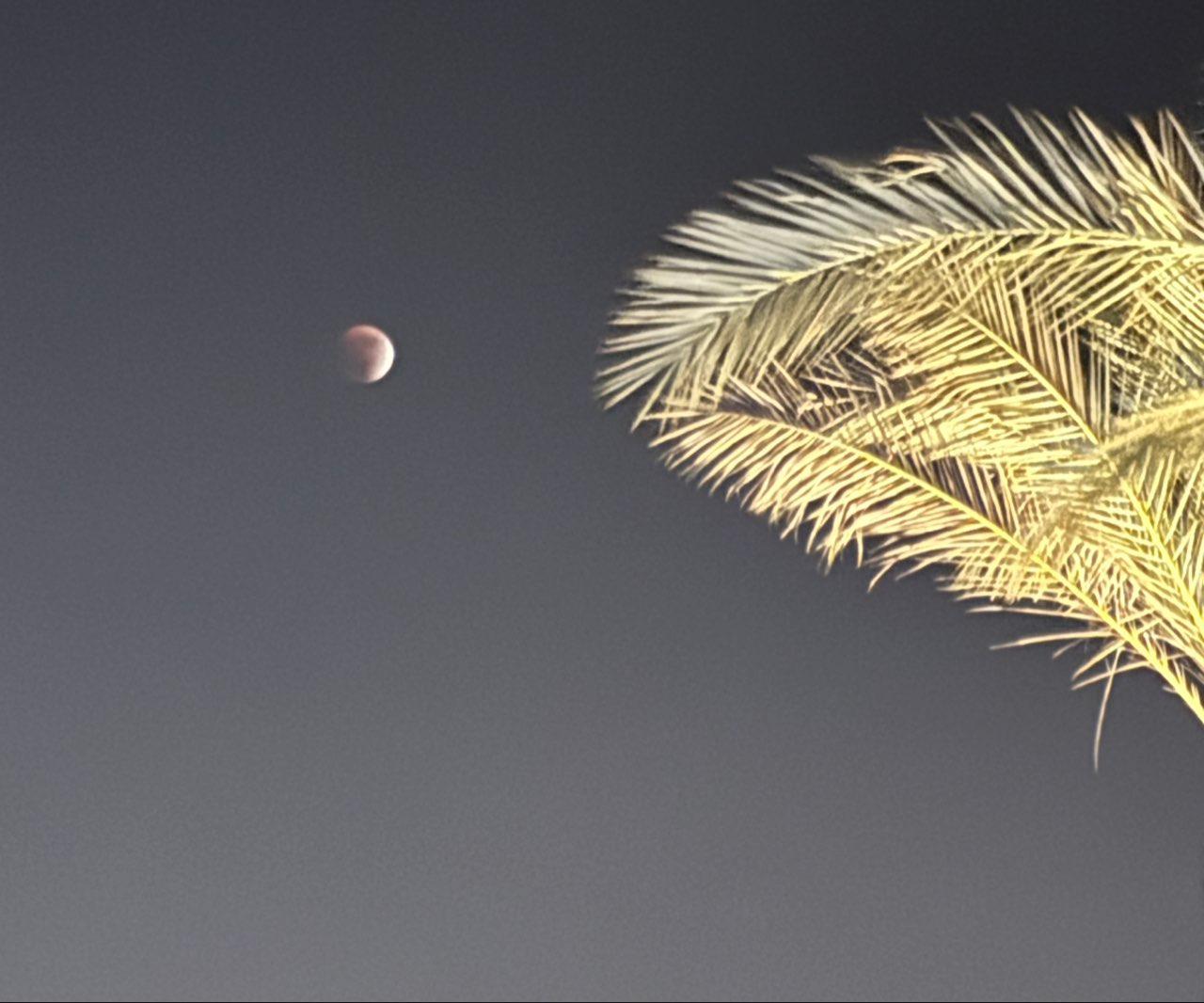 The Moon over Cairo, Egypt — full moon, Lunar Day 16