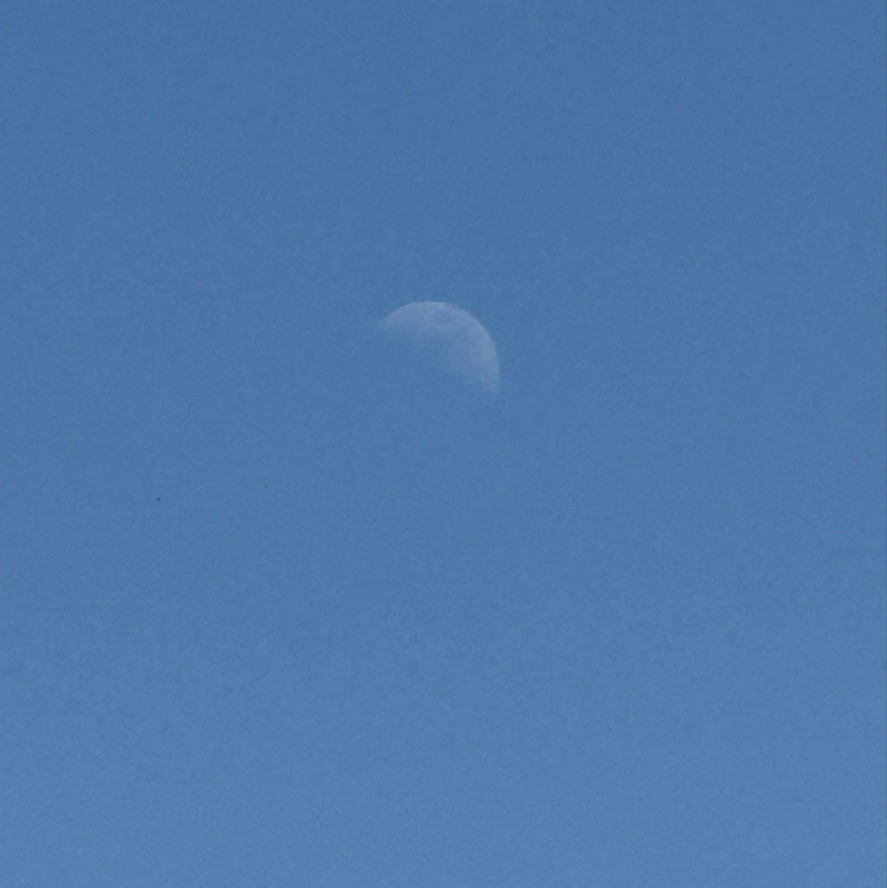 The Moon over Ennetbürgen, Schweiz — first quarter, Lunar Day 8