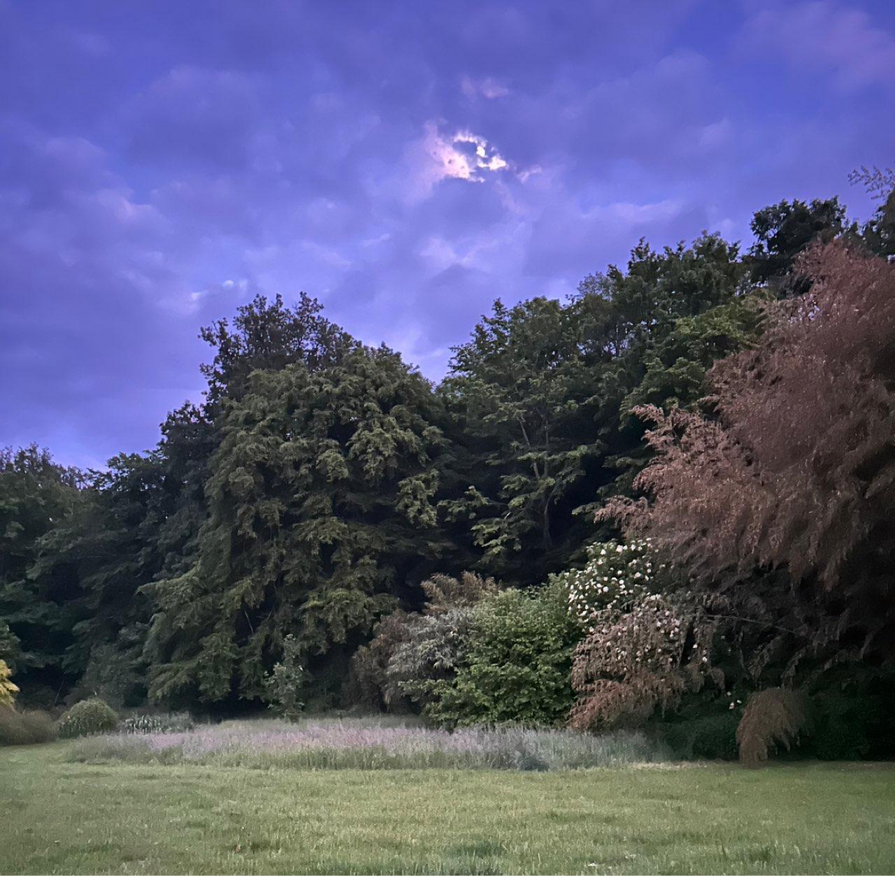 The Moon over Vulaines-sur-Seine, France — waxing gibbous, Lunar Day 13