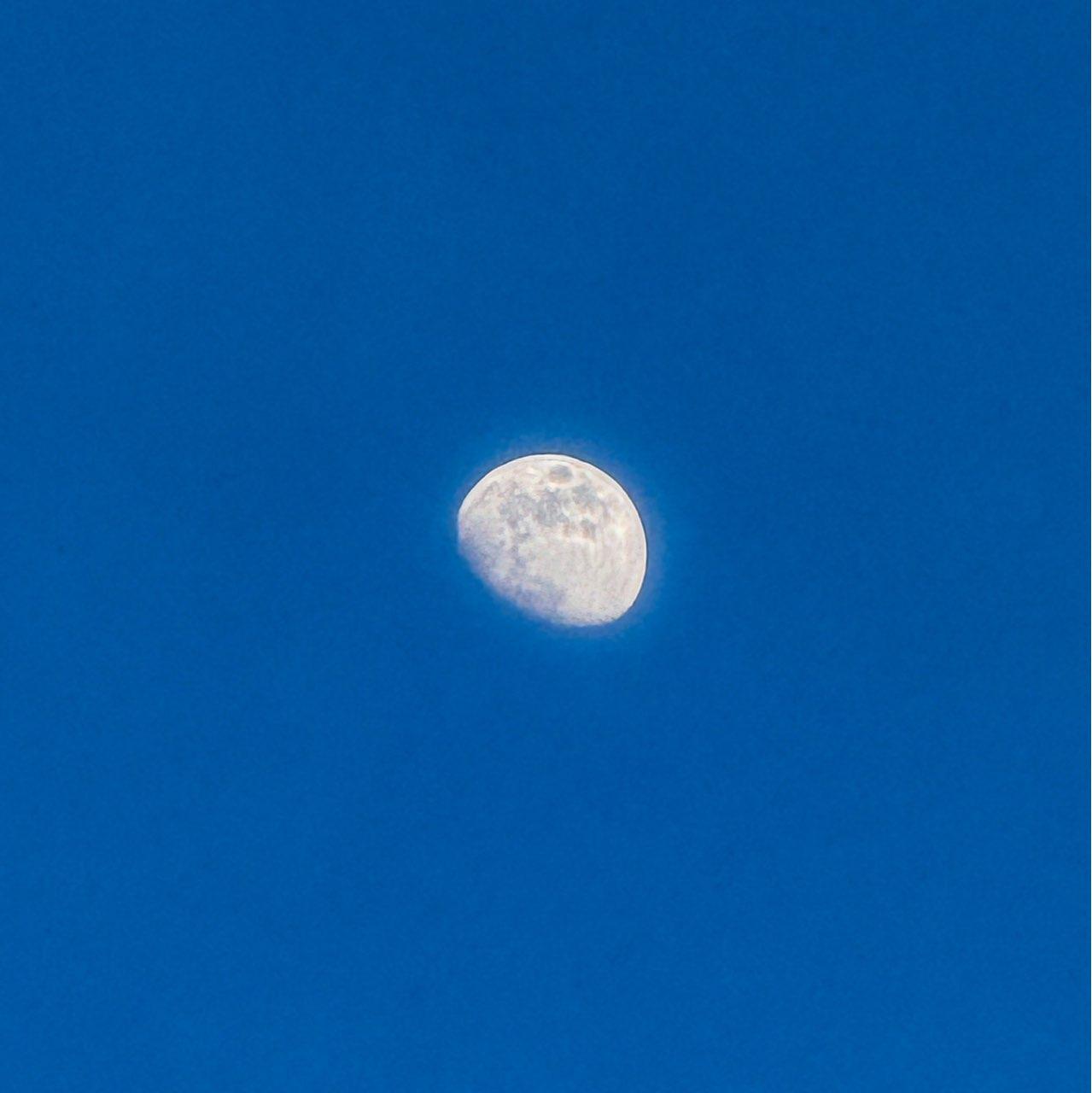 The Moon over Kilchberg ZH, Schweiz — waxing gibbous, Lunar Day 11