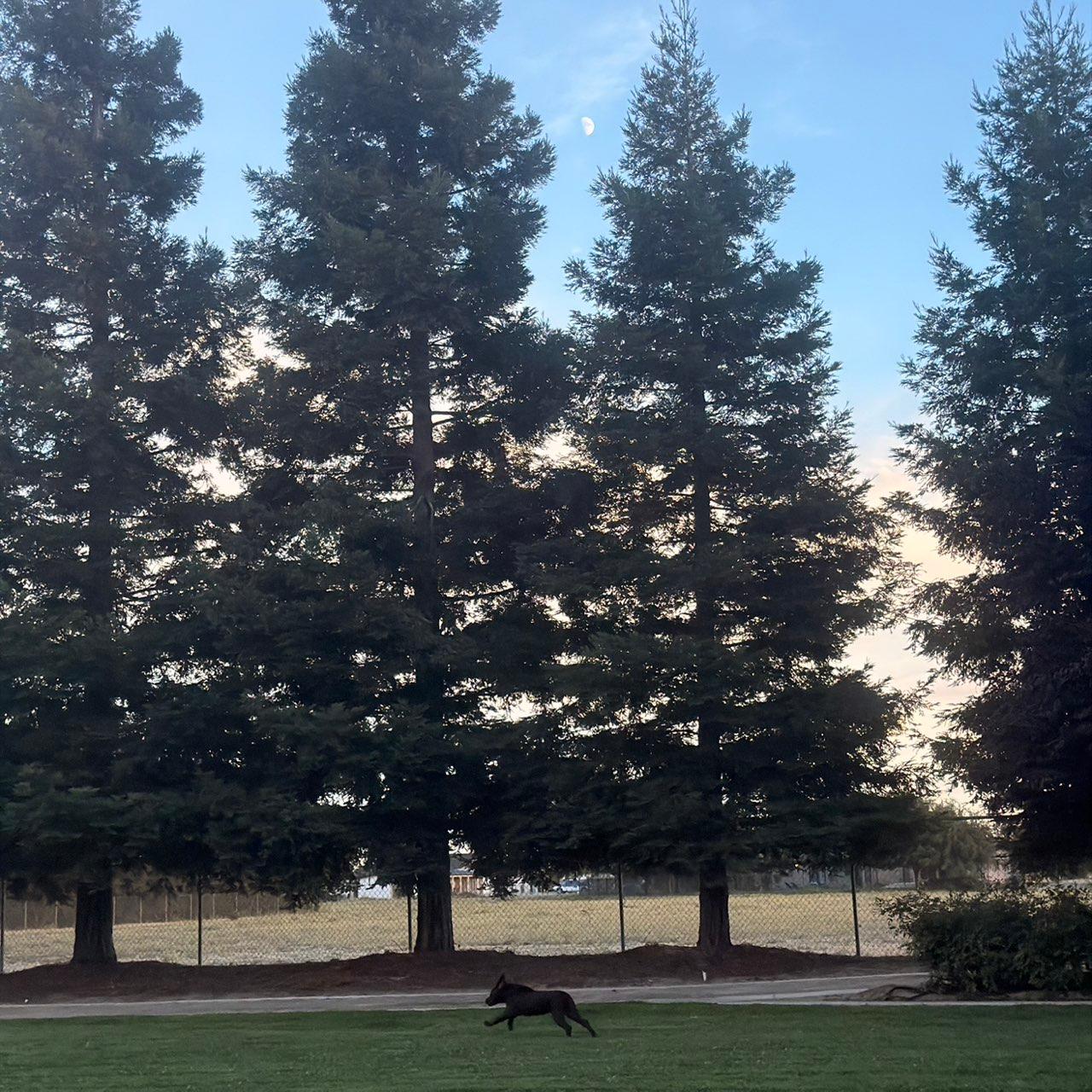 The Moon over Lodi, United States — first quarter, Lunar Day 10