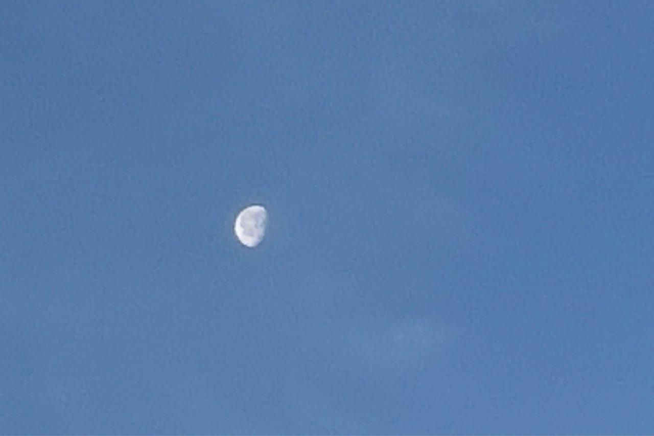 The Moon over Newington, United States — waning gibbous, Lunar Day 20