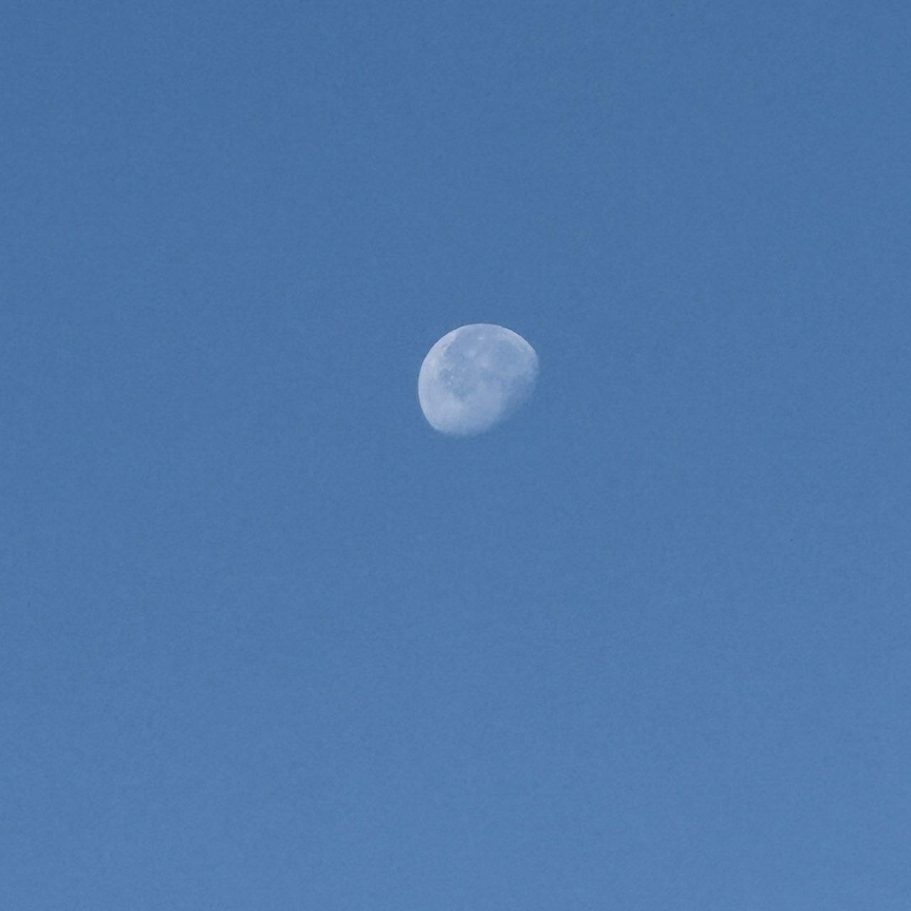 The Moon over деревня Старое Перепечино, Russia — waning gibbous, Lunar Day 20