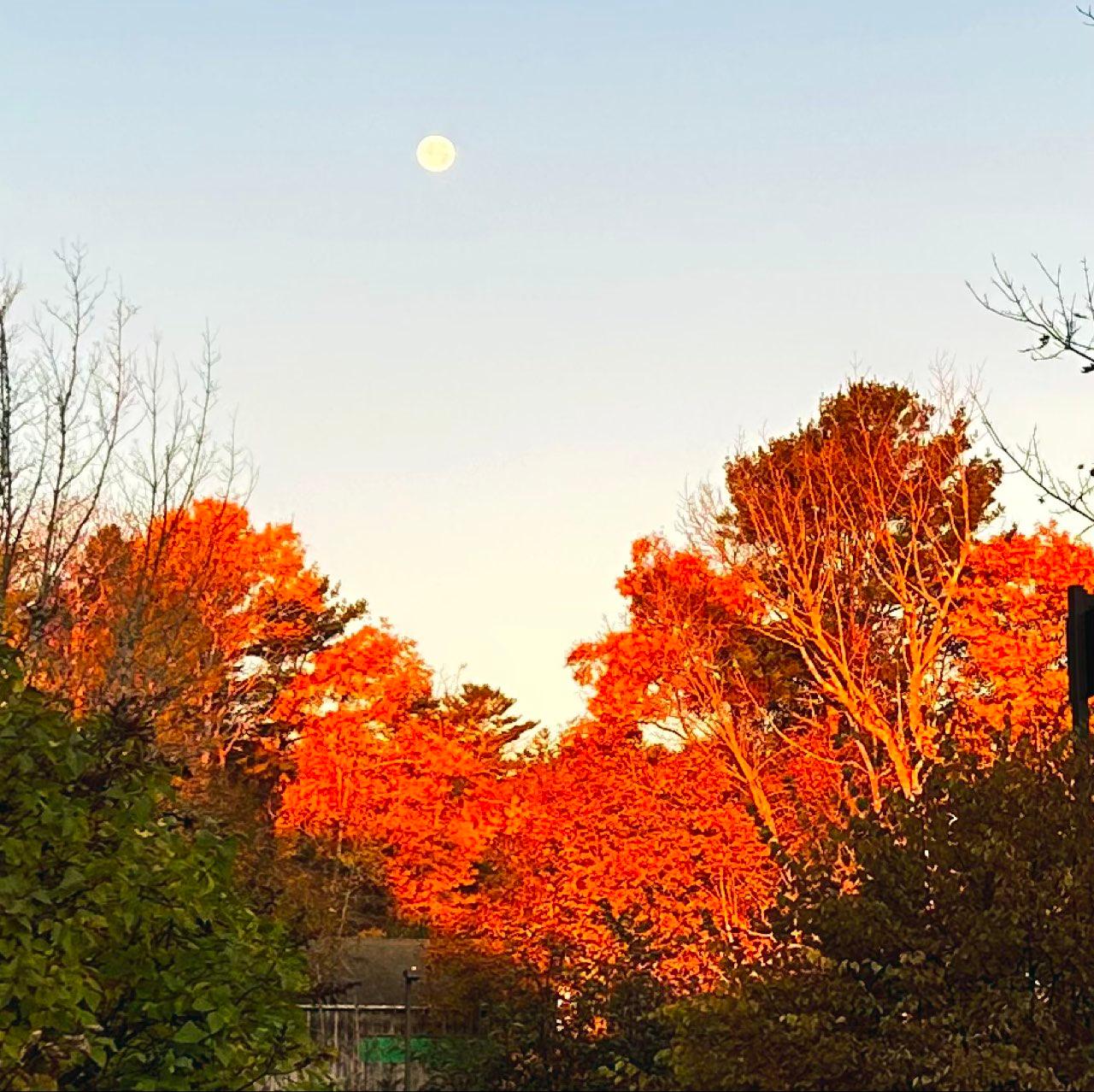 The Moon over Southwest Harbor, United States — waning gibbous, Lunar Day 18
