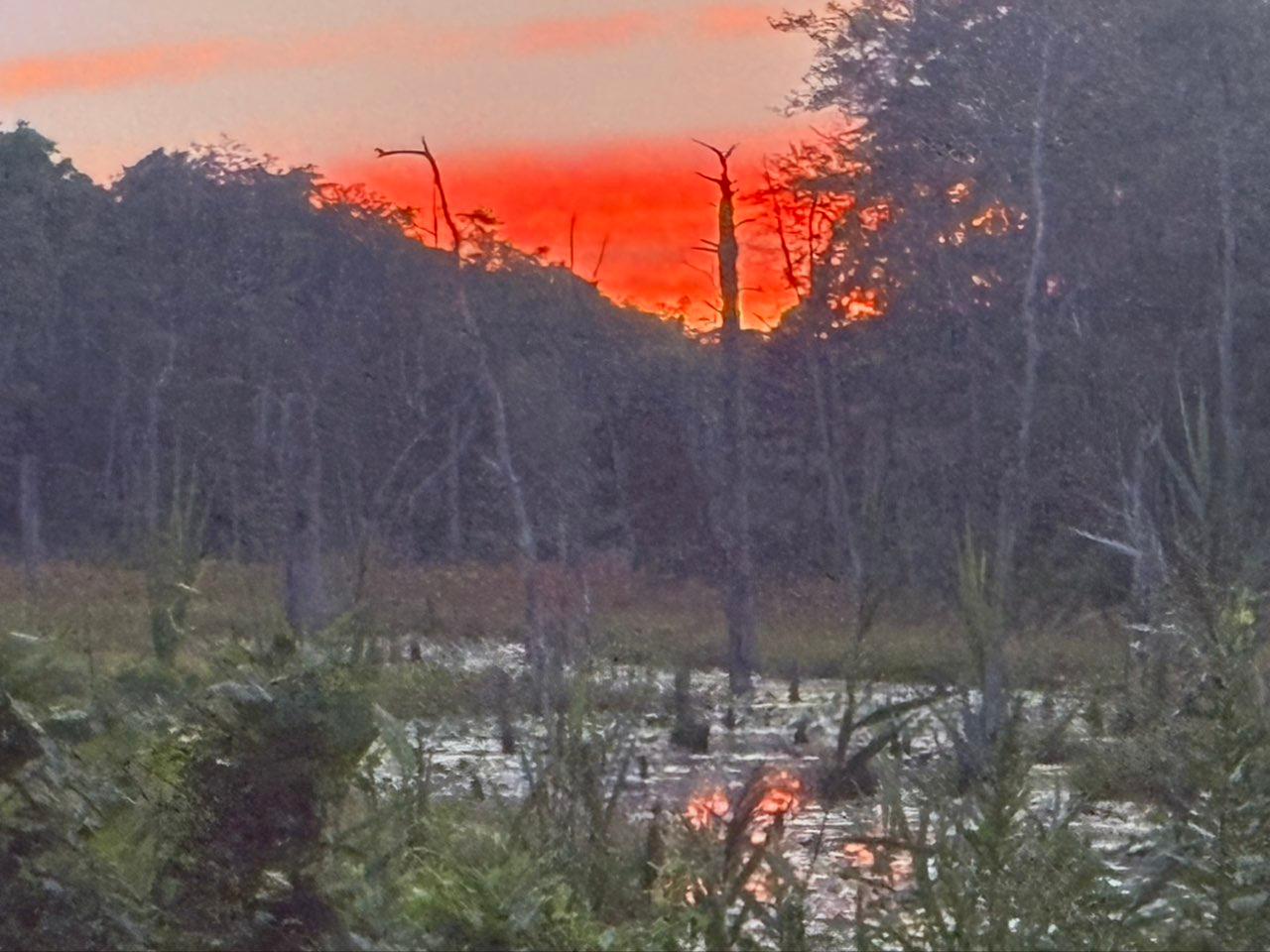 The Moon over Browns Mills, United States — first quarter, Lunar Day 10