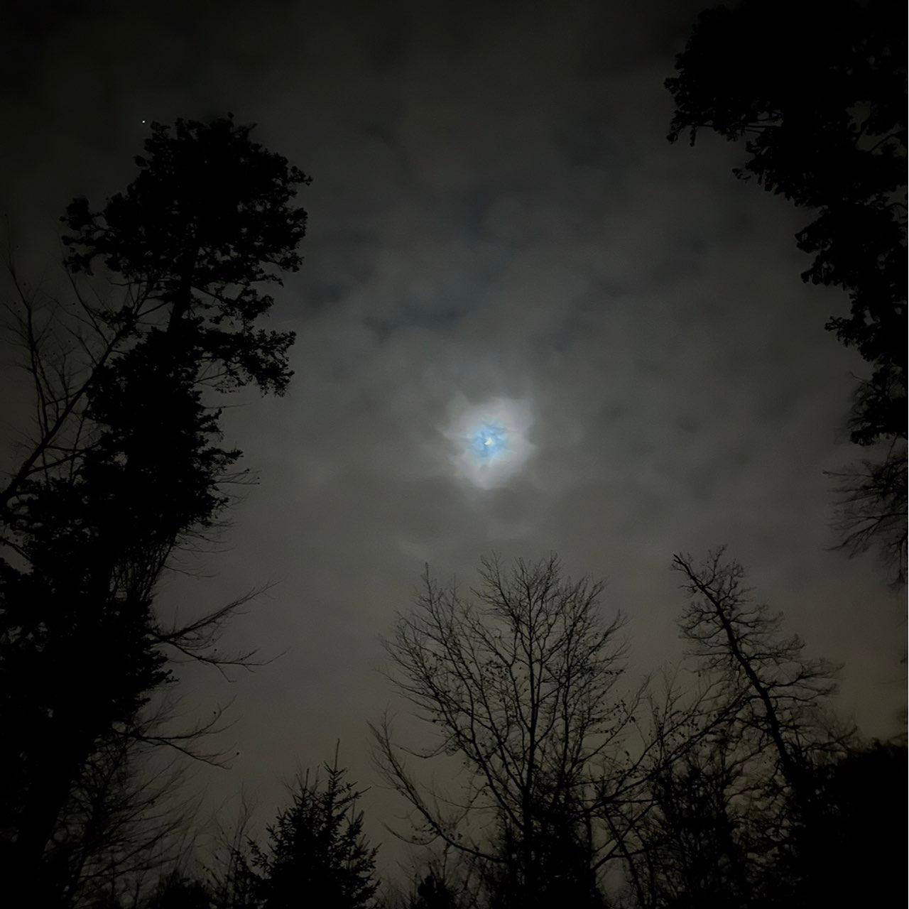 The Moon over Buchs AG, Schweiz — first quarter, Lunar Day 6