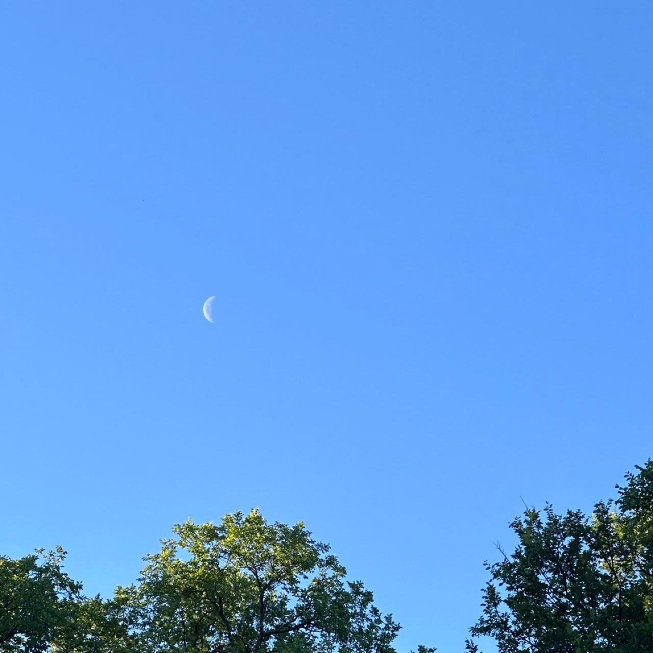 The Moon over Farmers Branch, Estados Unidos — last quarter, Lunar Day 25