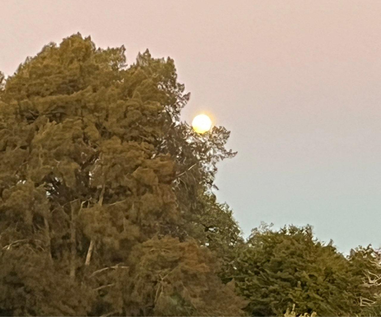 The Moon over Hamilton, New Zealand — full moon, Lunar Day 16