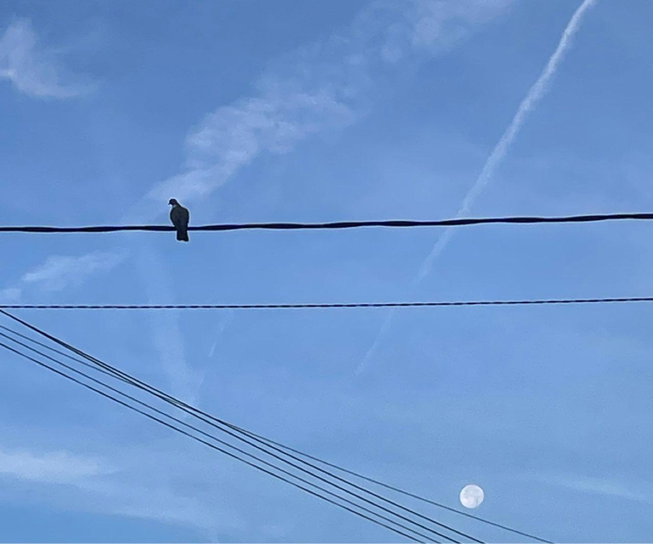 The Moon over Montigny-le-Bretonneux, France — waning gibbous, Lunar Day 17