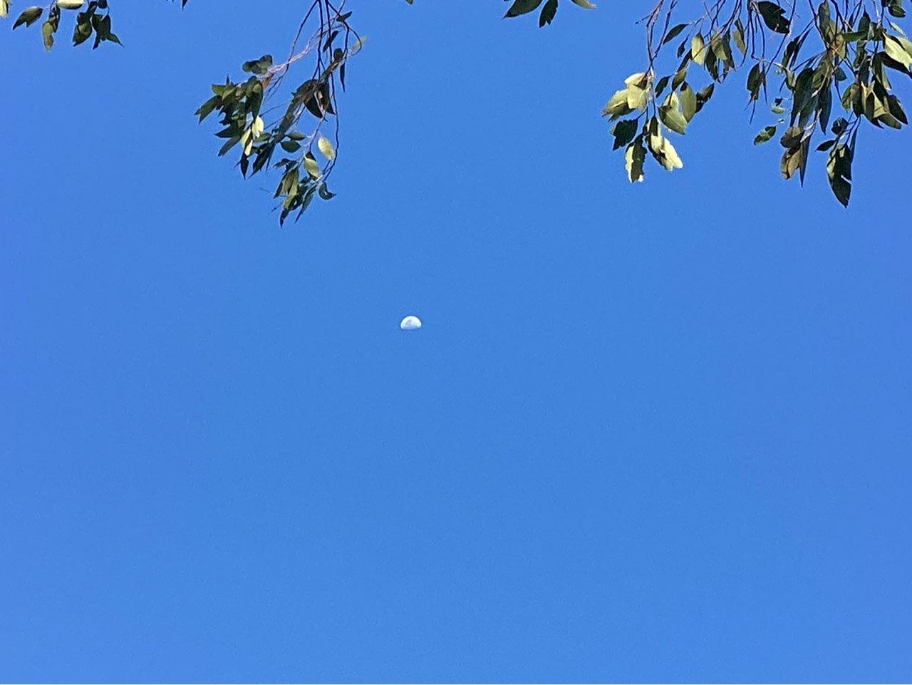 The Moon over Basin View, Australia — first quarter, Lunar Day 11