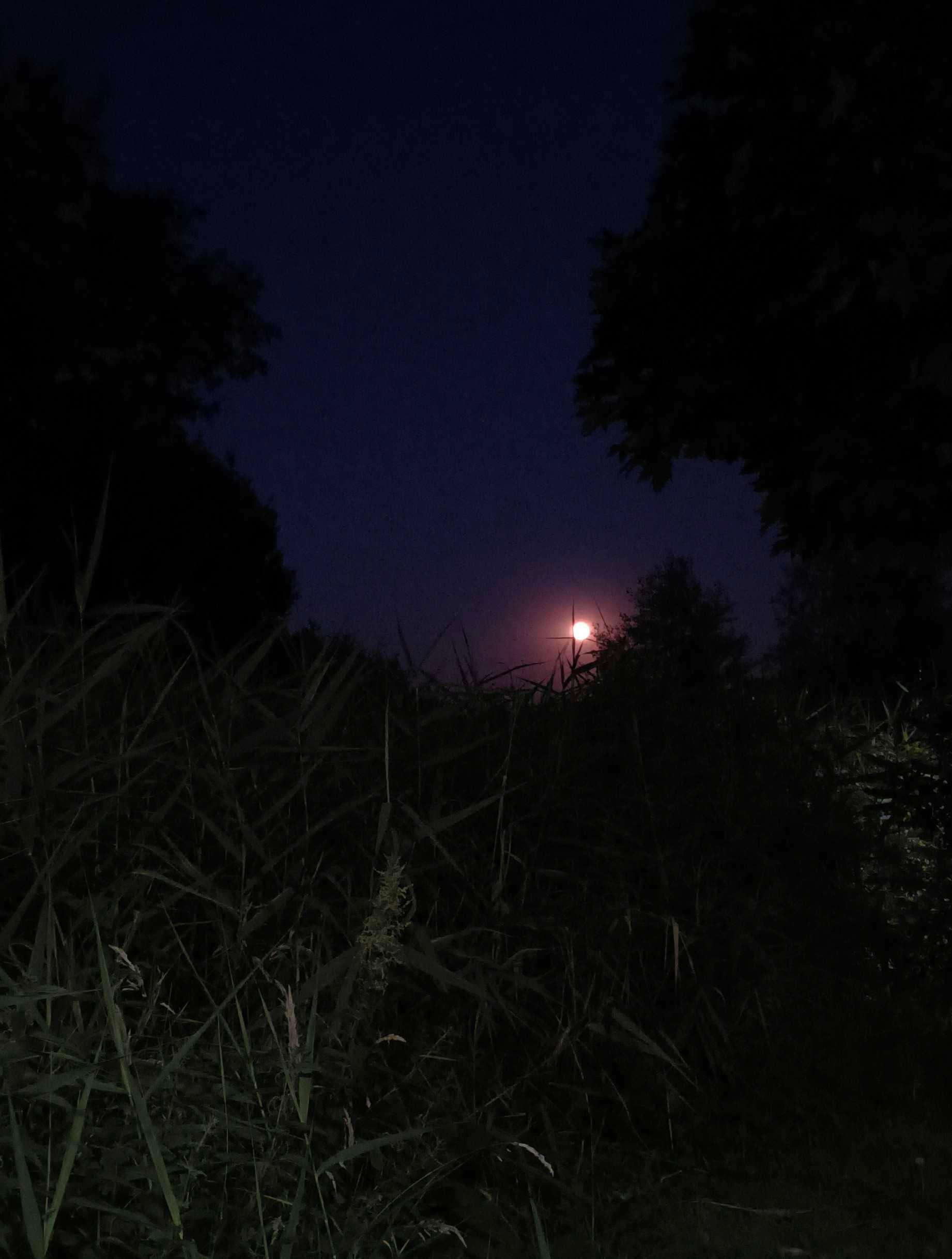 The Moon over Wrocław, Polska — full moon, Lunar Day 16