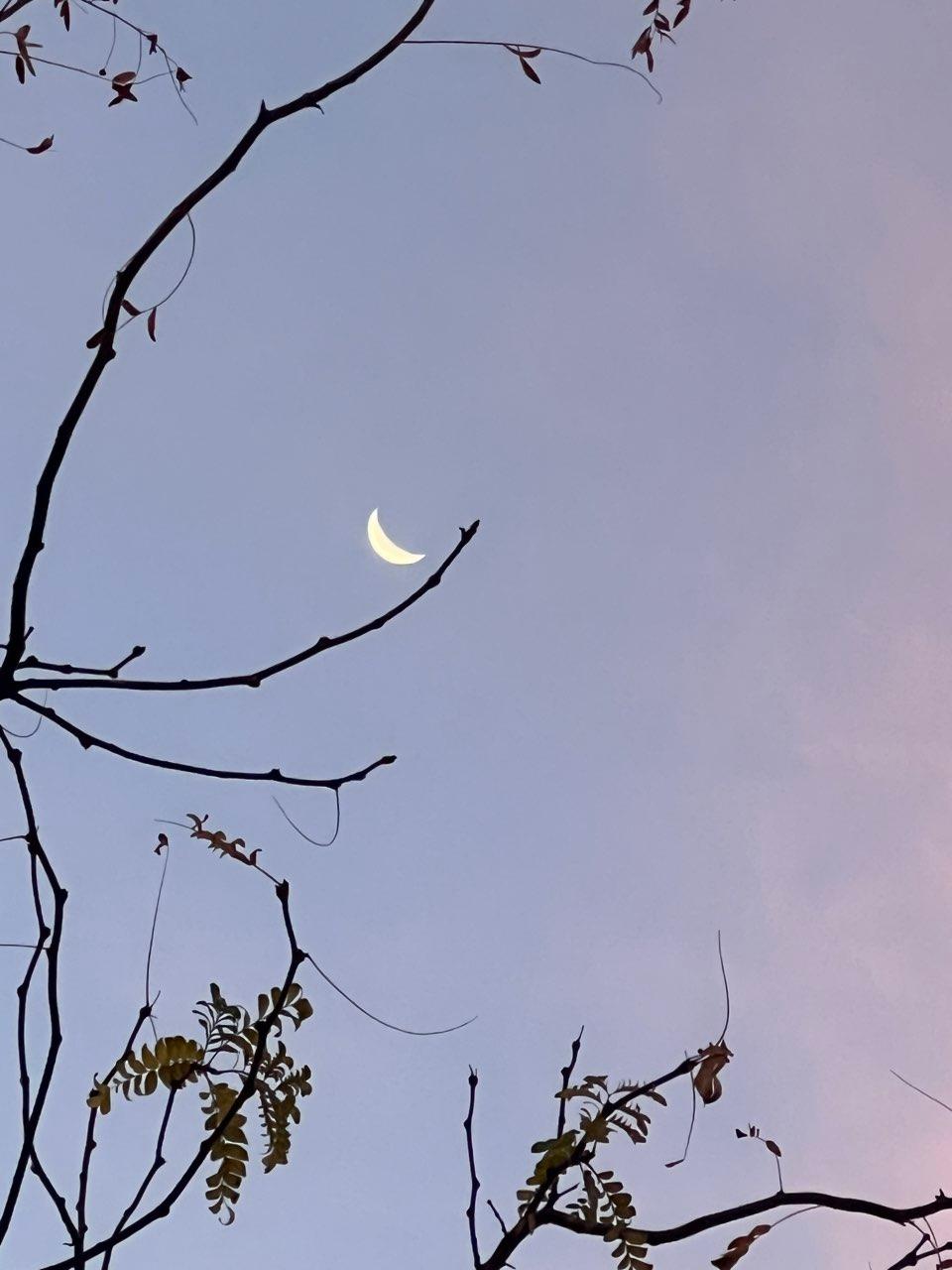 The Moon over Kelowna, Canada — waning crescent, Lunar Day 25