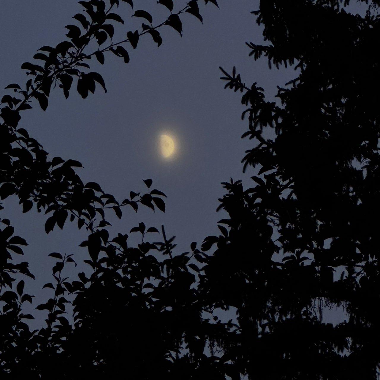 The Moon over Chagrin Falls, United States — first quarter, Lunar Day 9