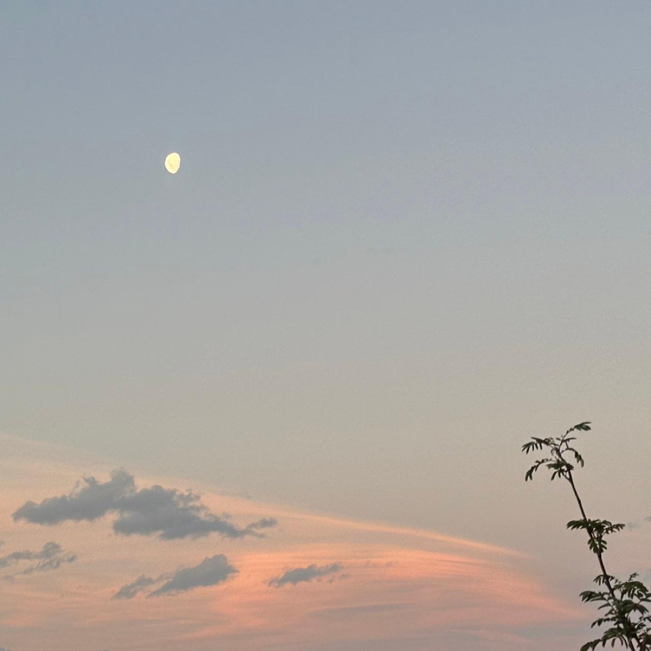 The Moon over Christchurch, New Zealand — waxing gibbous, Lunar Day 10