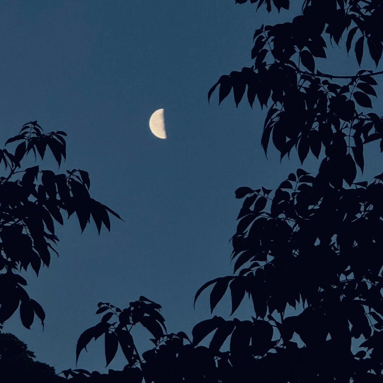 The Moon over Chagrin Falls, United States — last quarter, Lunar Day 23