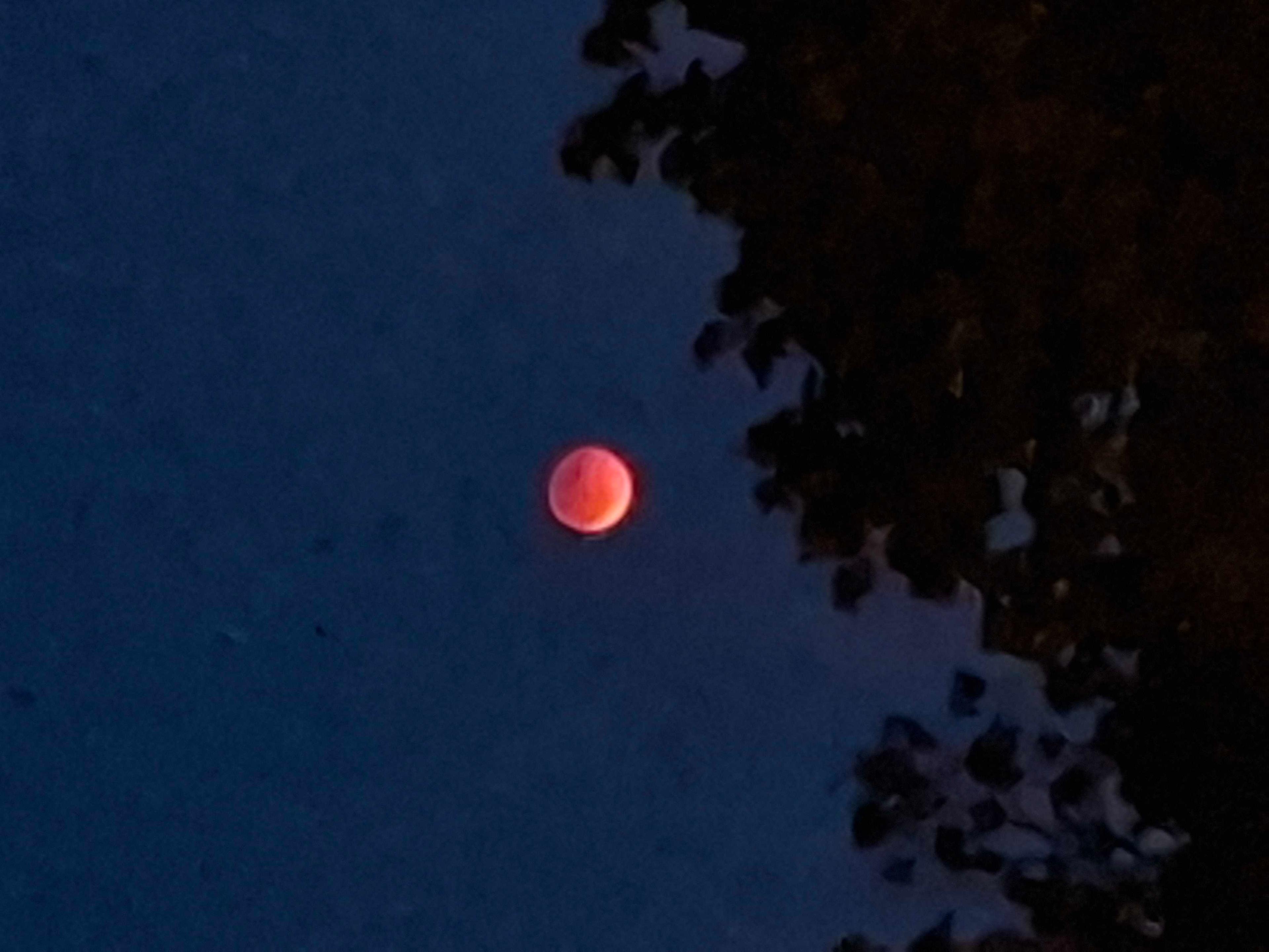 The Moon over Czechia — full moon, Lunar Day 16