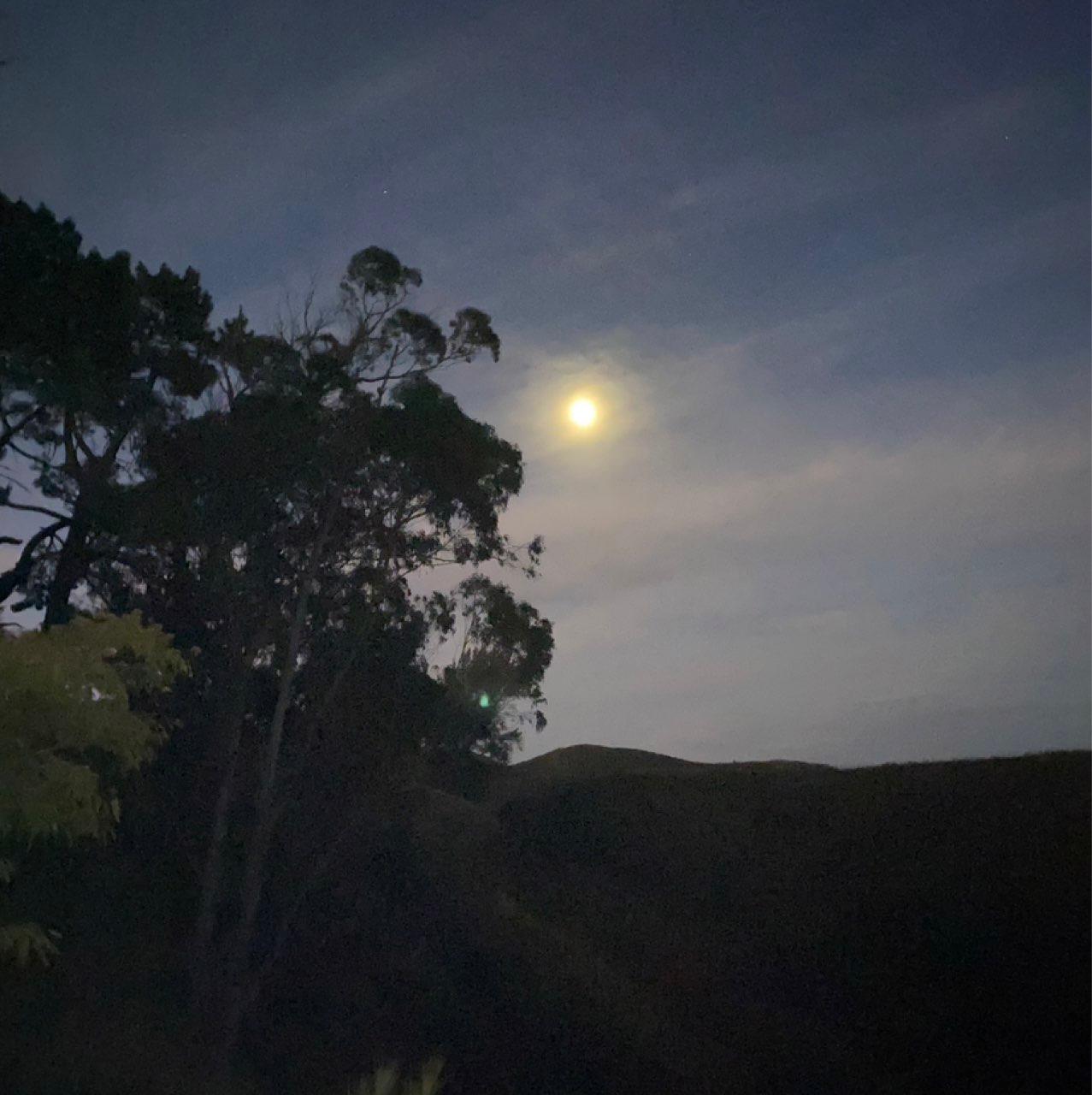 The Moon over Göteborg, Sverige — waxing gibbous, Lunar Day 10