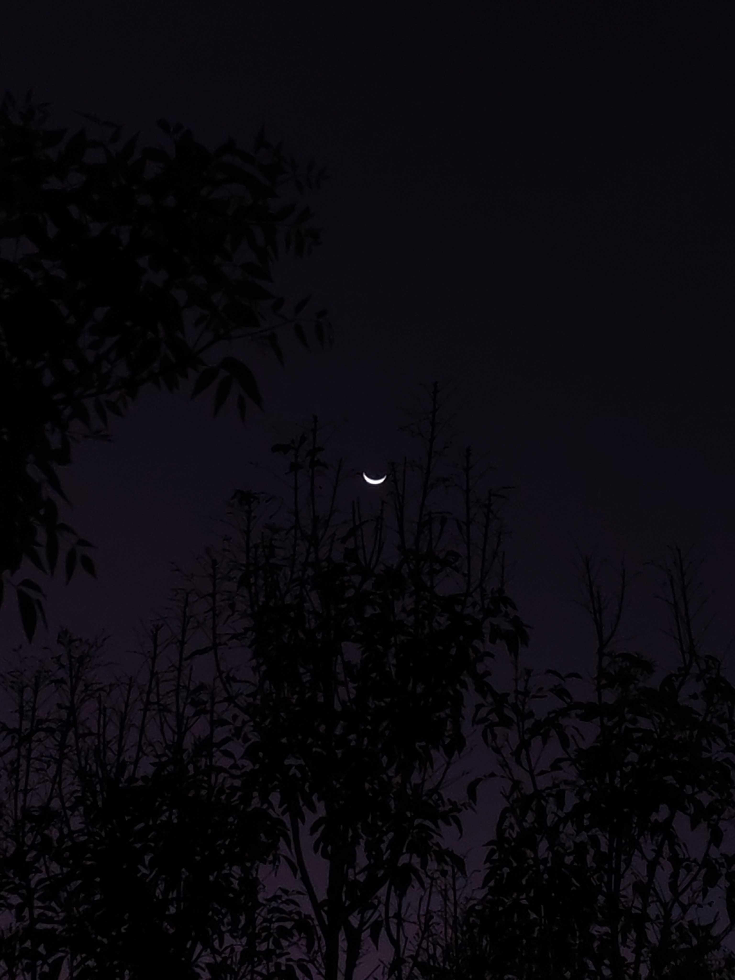 The Moon over Zapopan, México — waxing crescent, Lunar Day 4