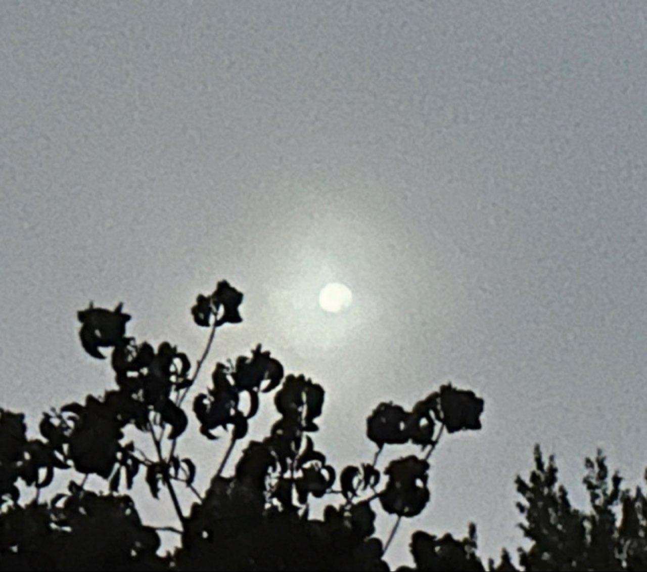 The Moon over Newington, United States — waning gibbous, Lunar Day 19
