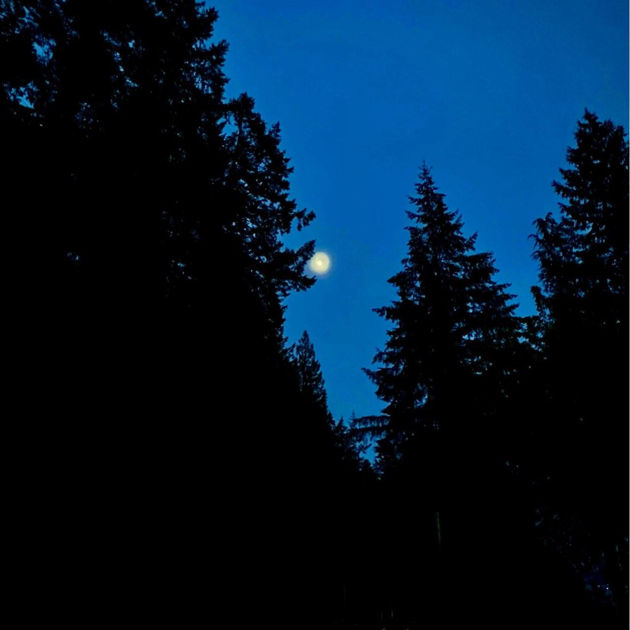 The Moon over Tofino, Canada — waxing gibbous, Lunar Day 12