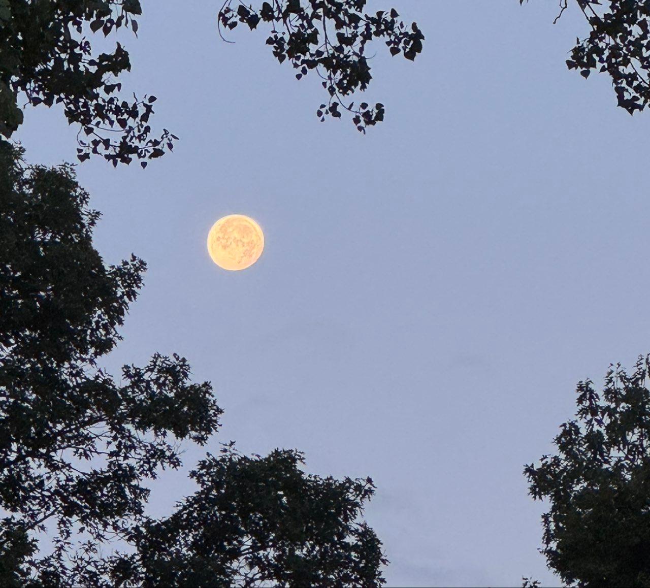The Moon over Norwood, United States — full moon, Lunar Day 17