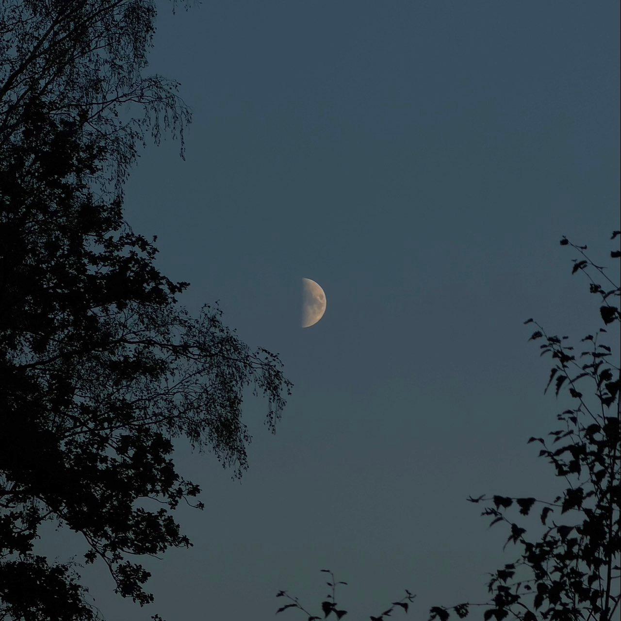 The Moon over Pelt, België — first quarter, Lunar Day 9
