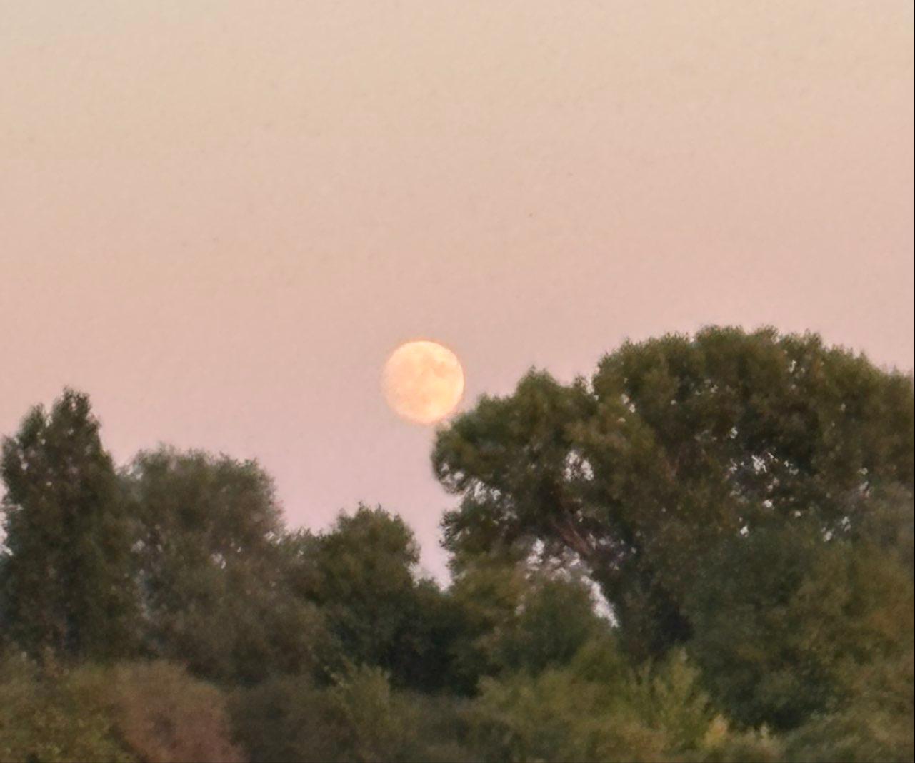 The Moon over Rolleboise, France — full moon, Lunar Day 17