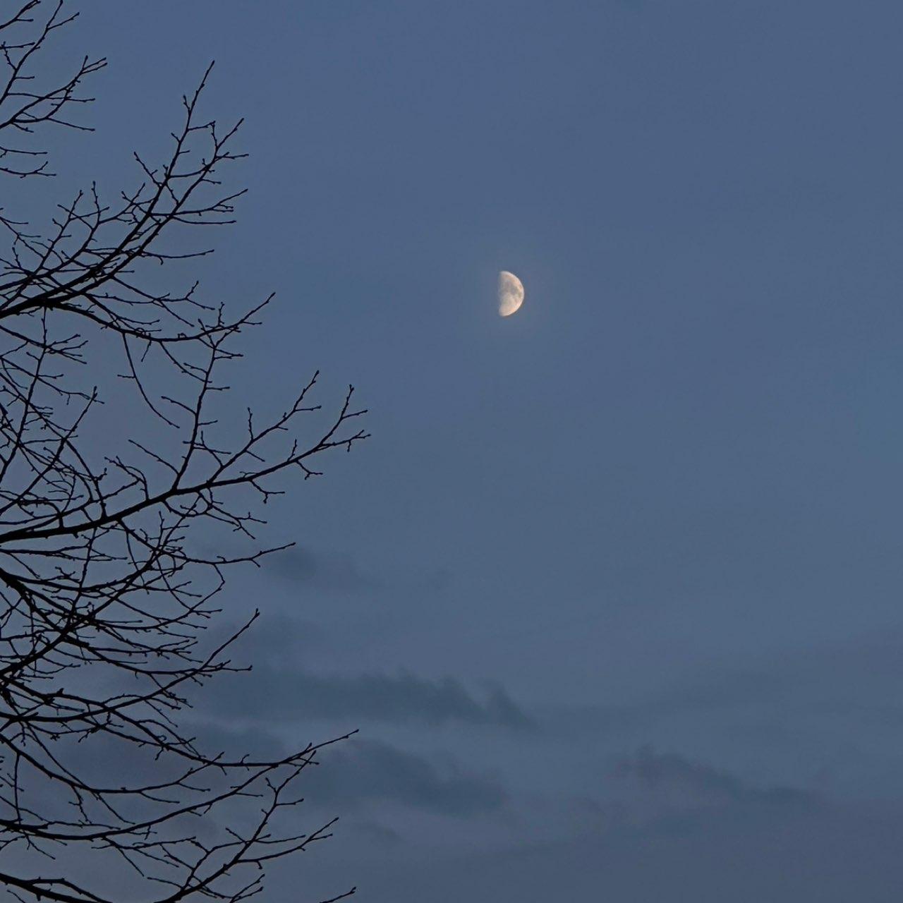 The Moon over Köln, Deutschland — first quarter, Lunar Day 10