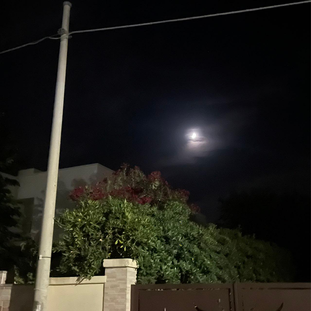 The Moon over Maruggio, Italia — first quarter, Lunar Day 8
