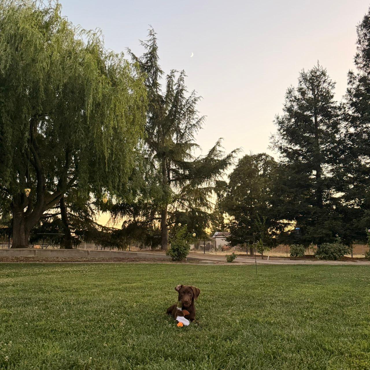 The Moon over Lodi, United States — waxing crescent, Lunar Day 6