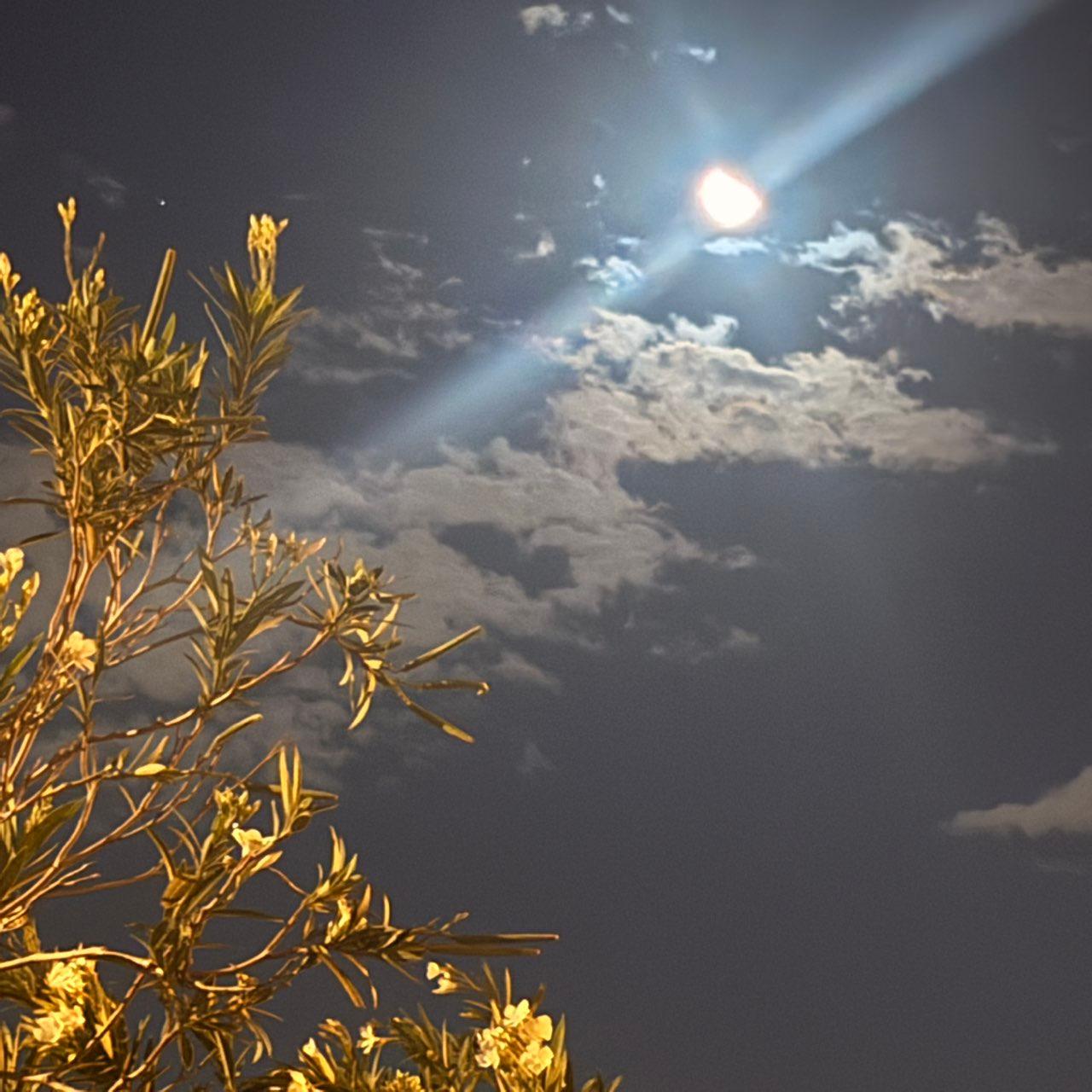 The Moon over Phoenix, Estados Unidos — last quarter, Lunar Day 23