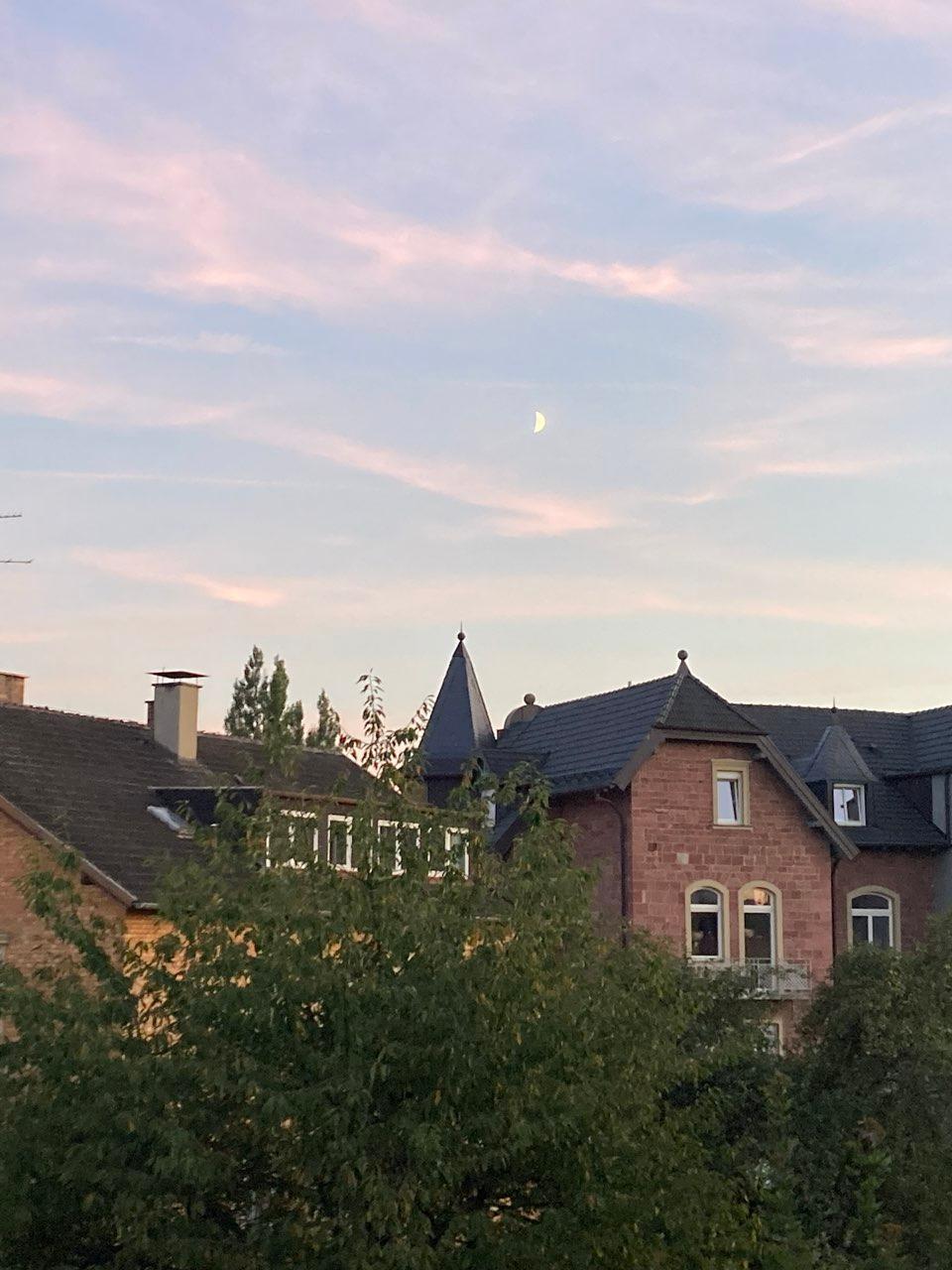 The Moon over Bad Kissingen, Deutschland — first quarter, Lunar Day 8